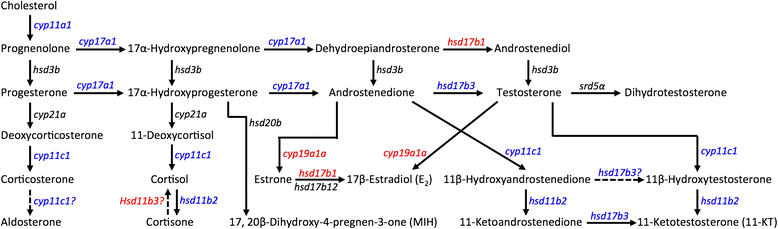 Fig. 7