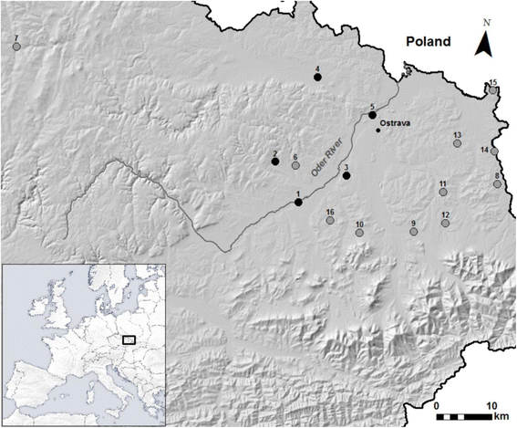 Fig. 1