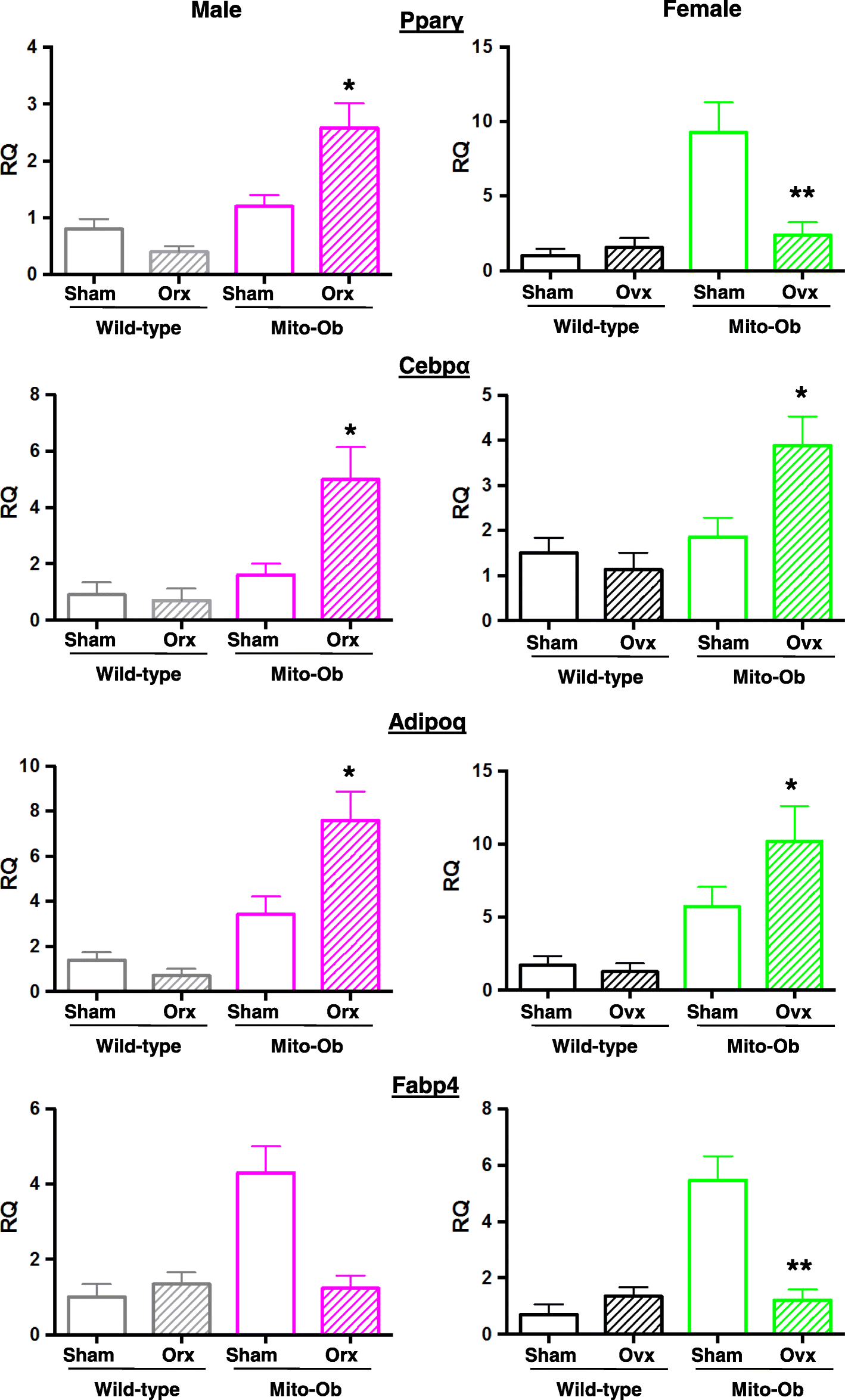 Fig. 6