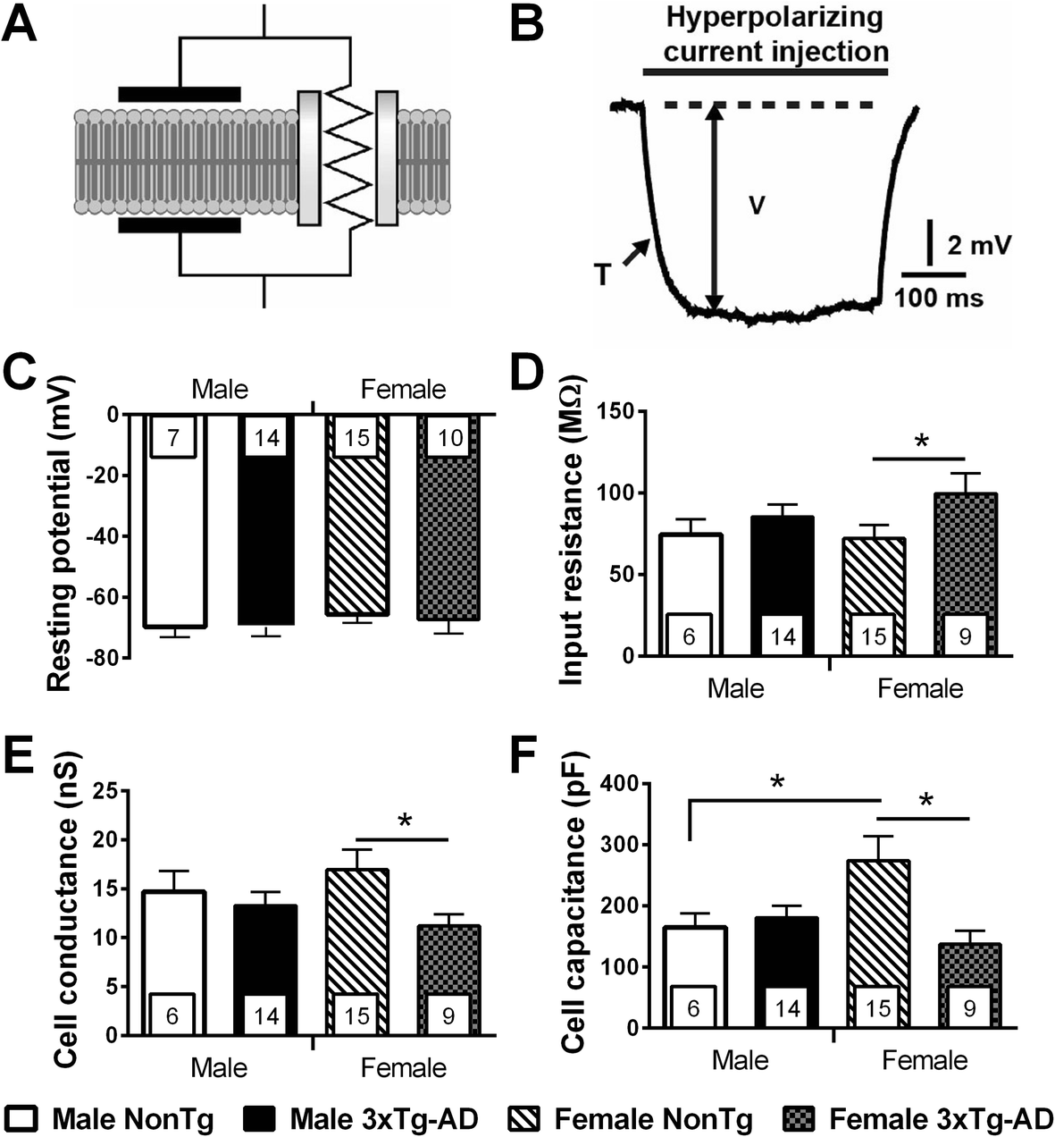 Fig. 4