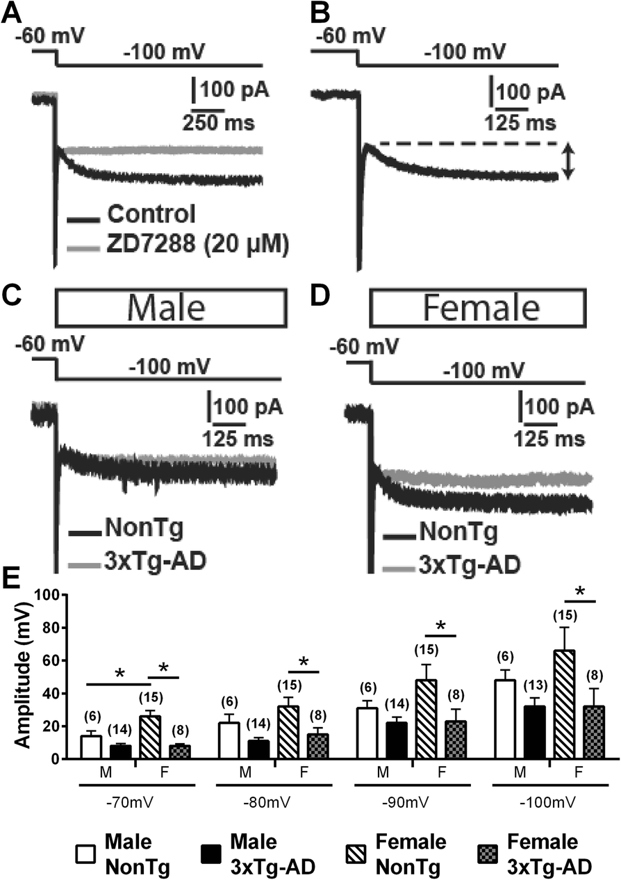 Fig. 9