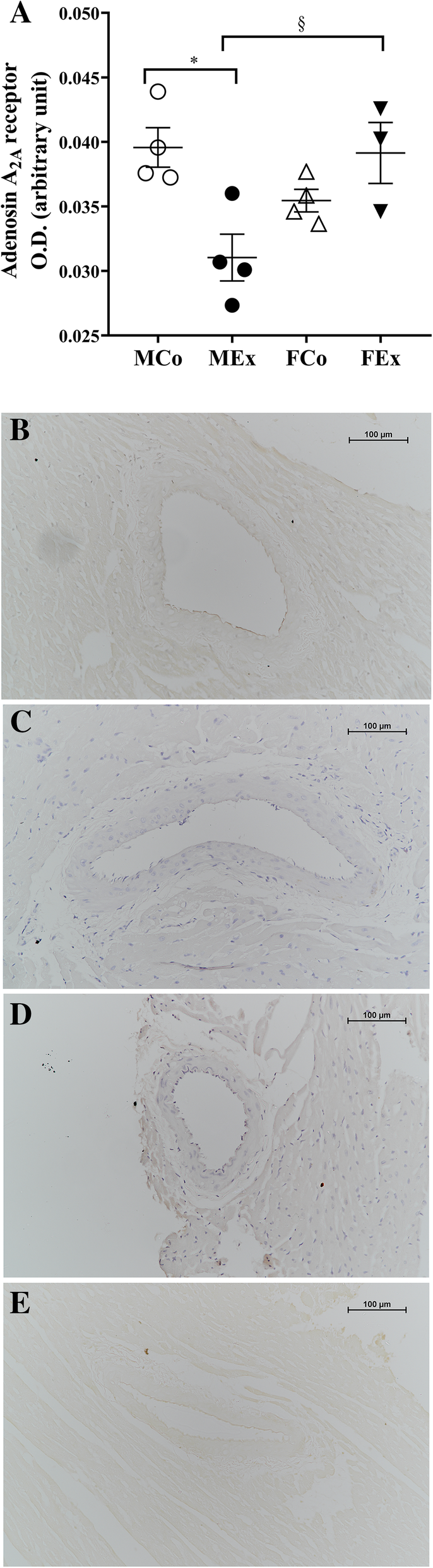 Fig. 8