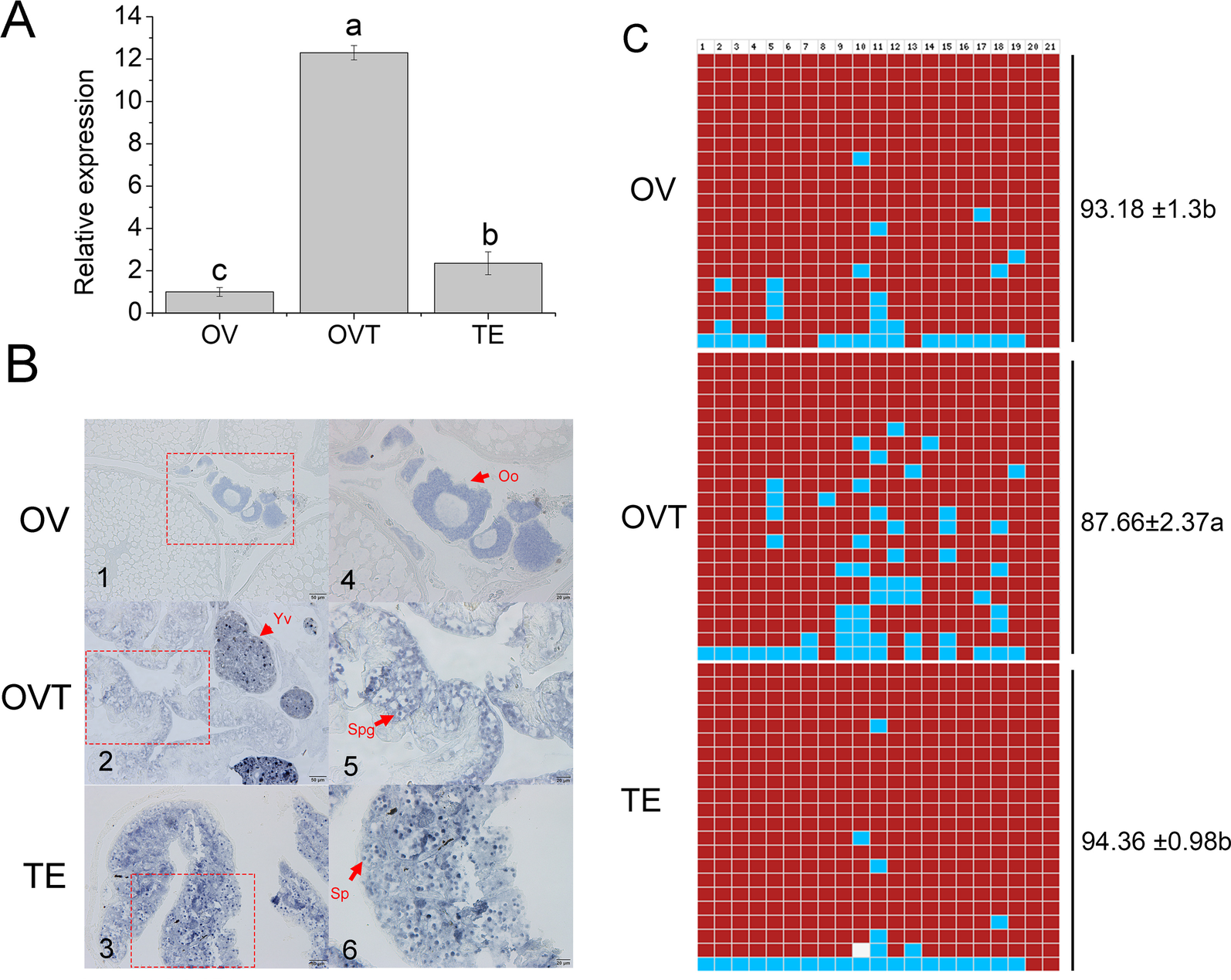 Fig. 4