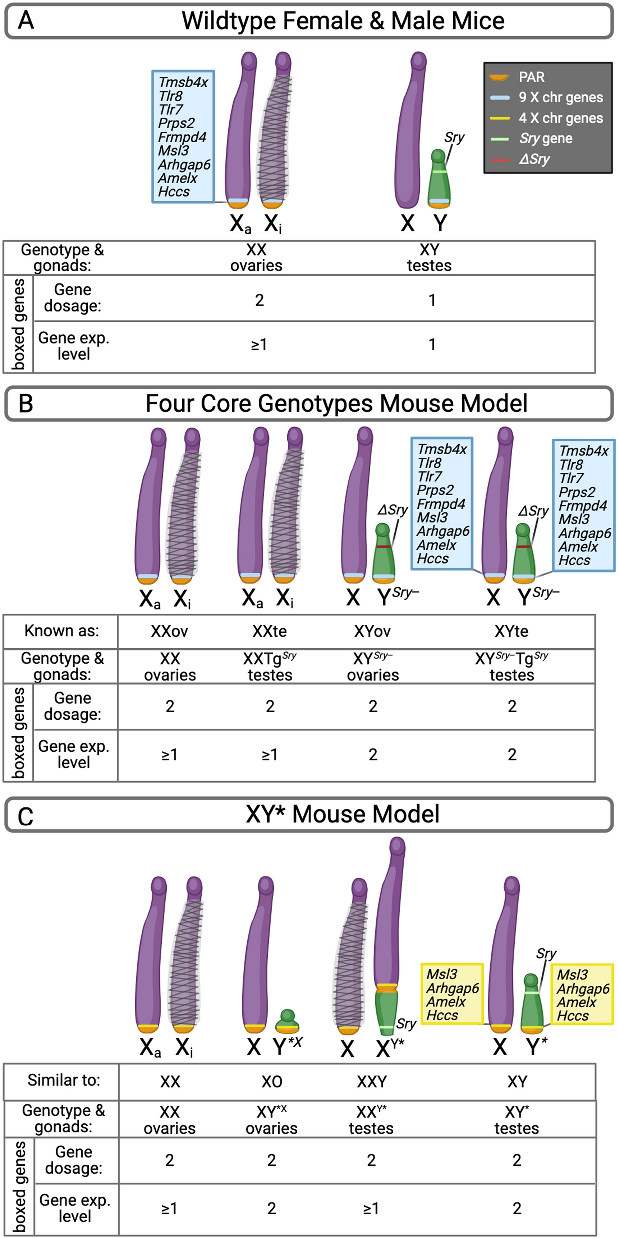 Fig. 2