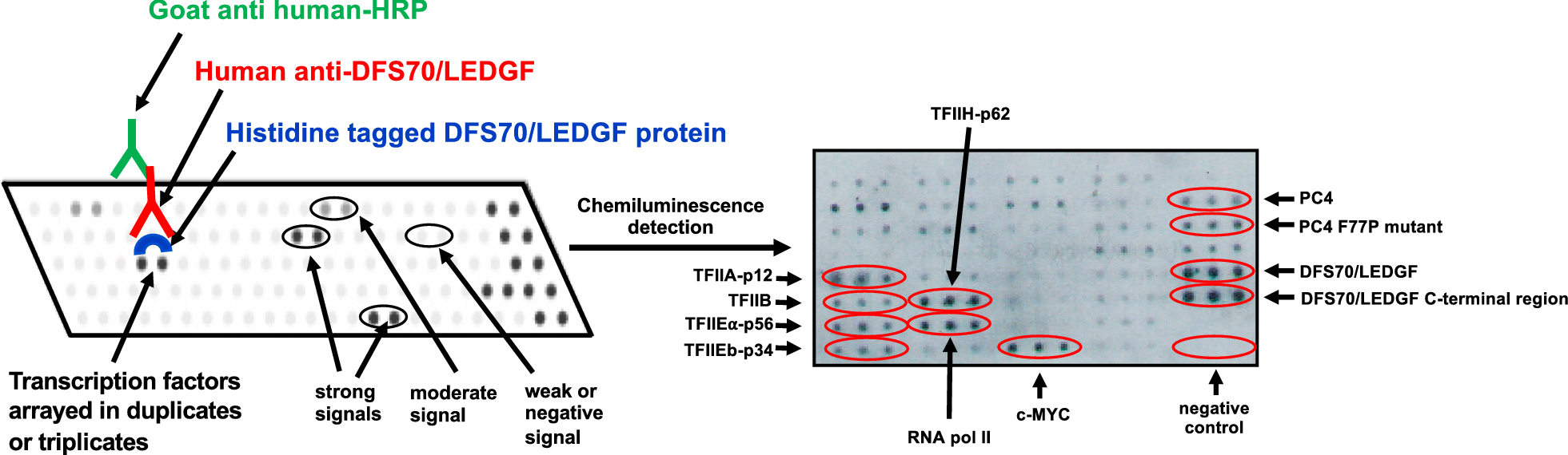 Fig. 4