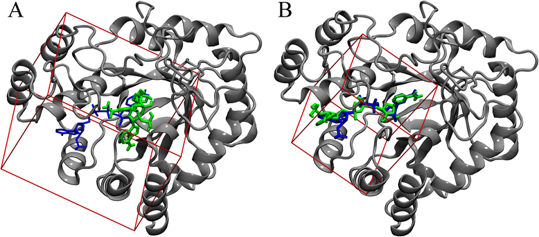 Fig. 5