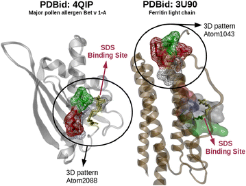 Fig. 10