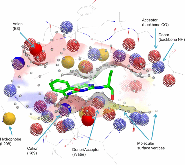 Molecular Molecular