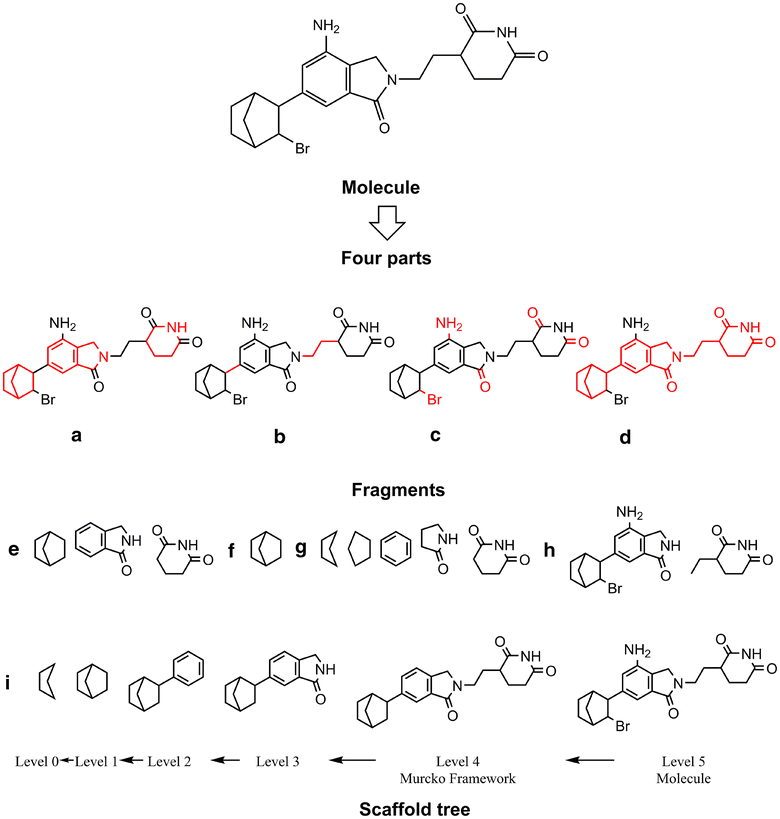 Fig. 1