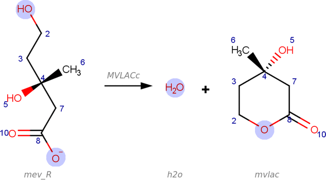 Fig. 8