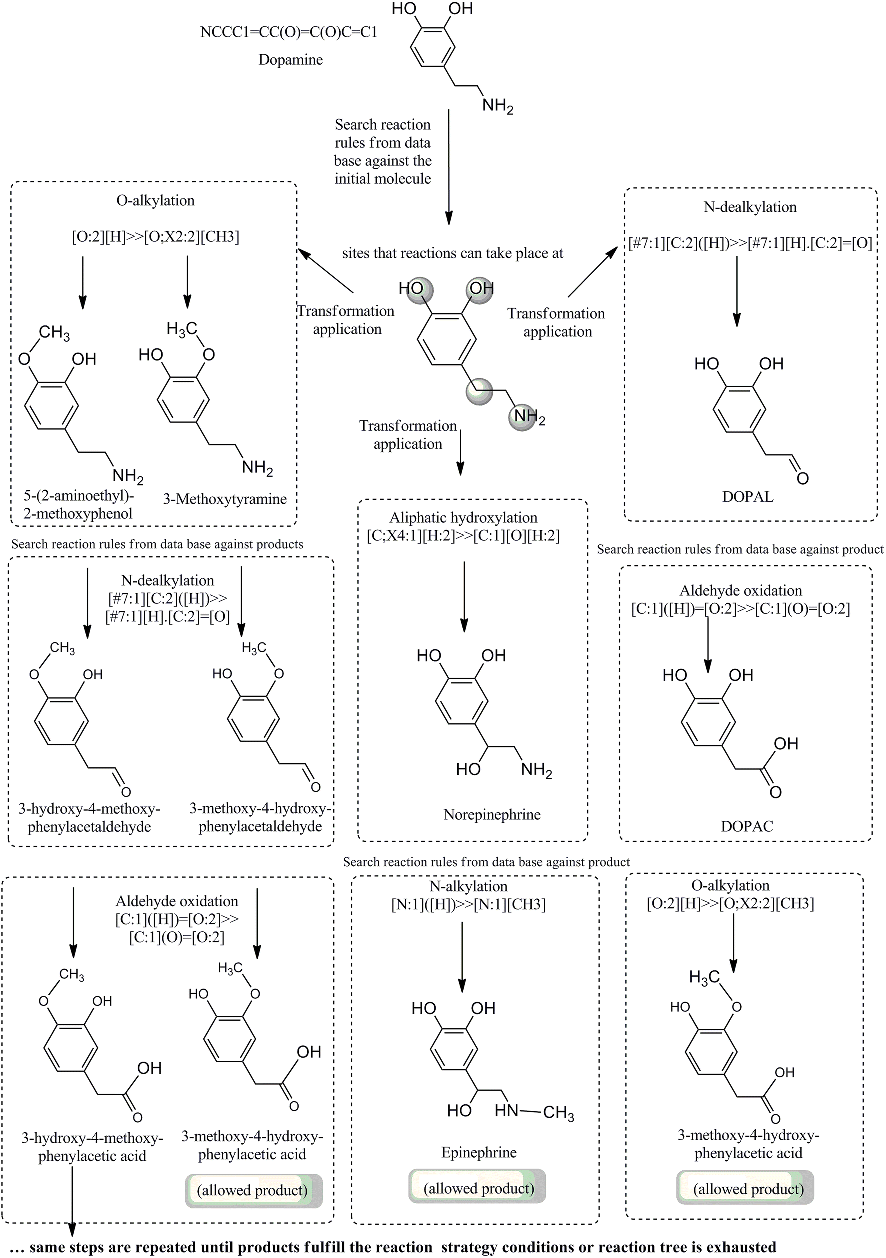 Fig. 19