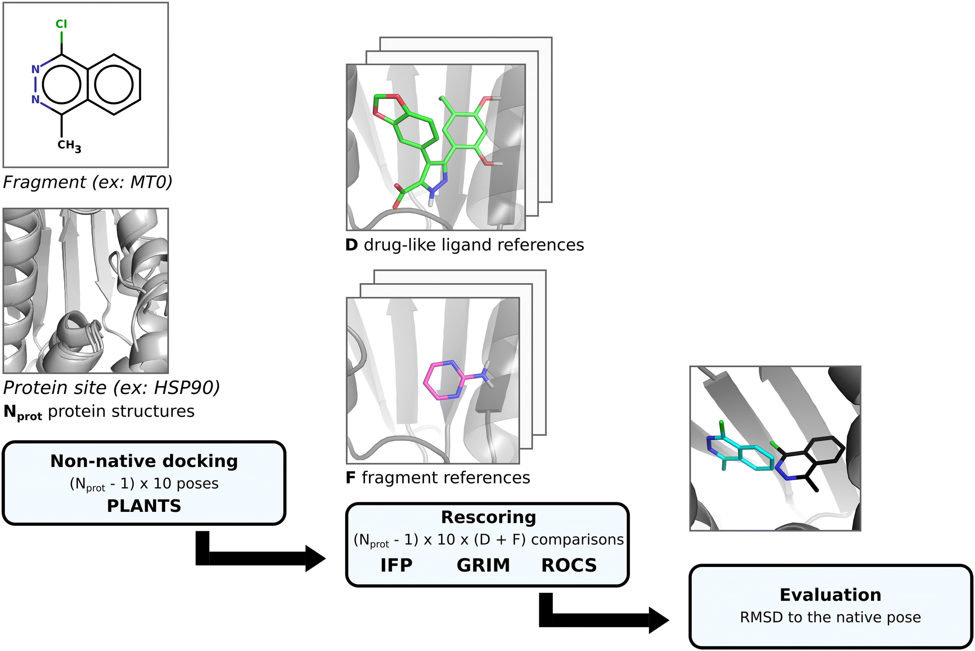 Fig. 1