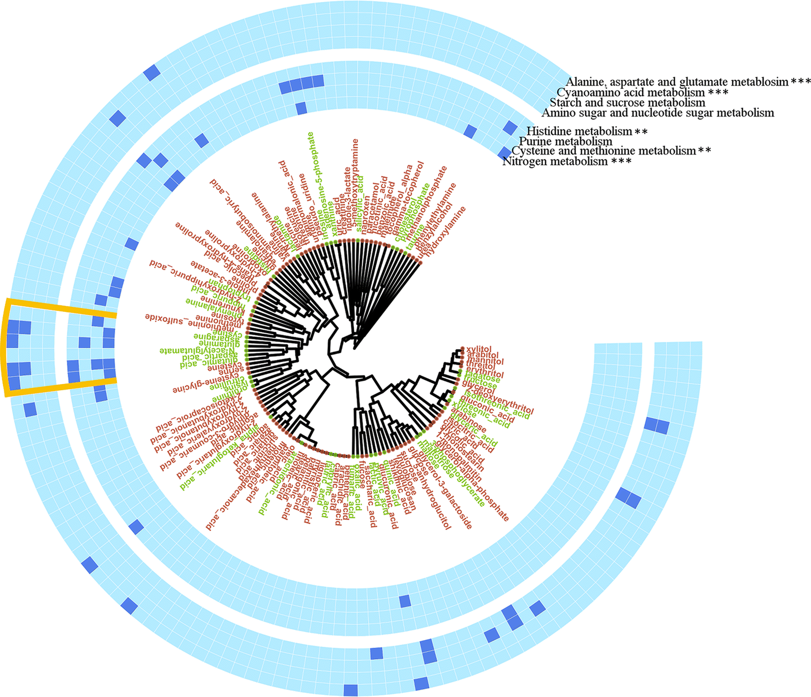 Fig. 5