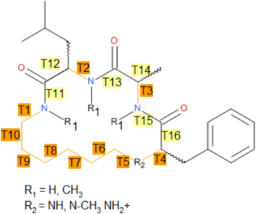 Scheme 2