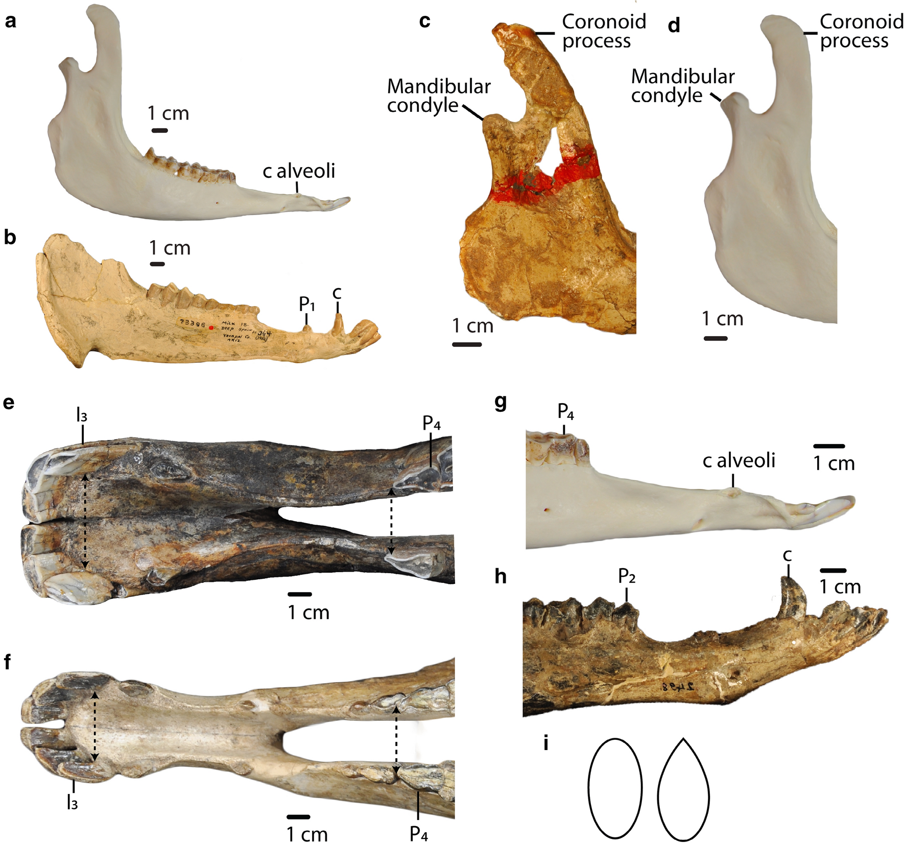 Fig. 9