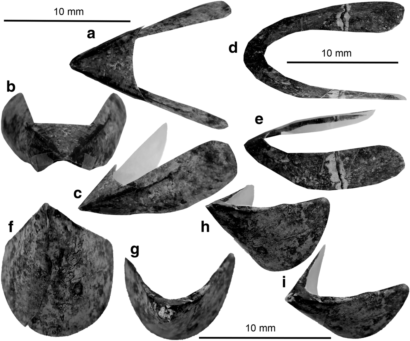 Fig. 6