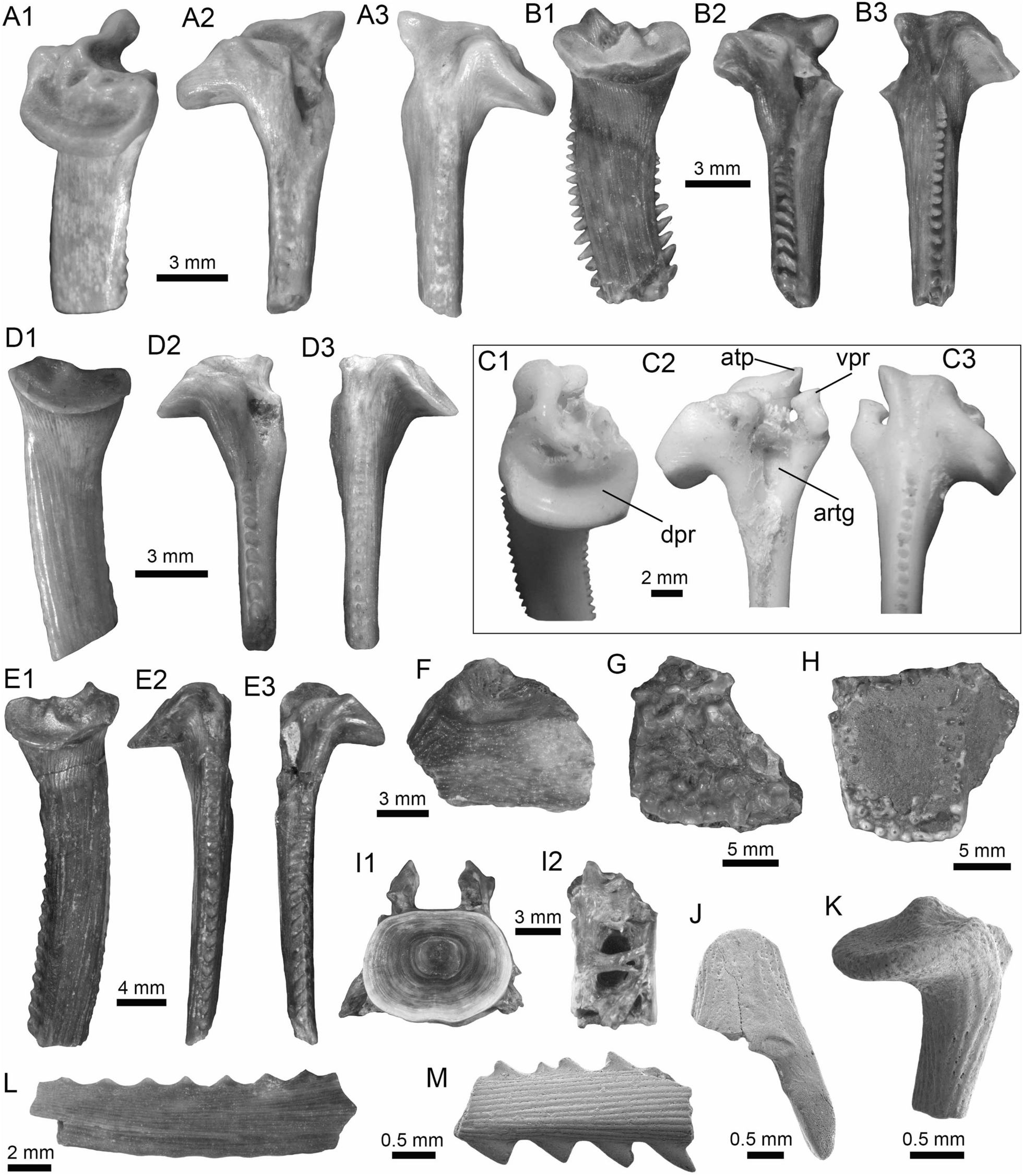 Fig. 11