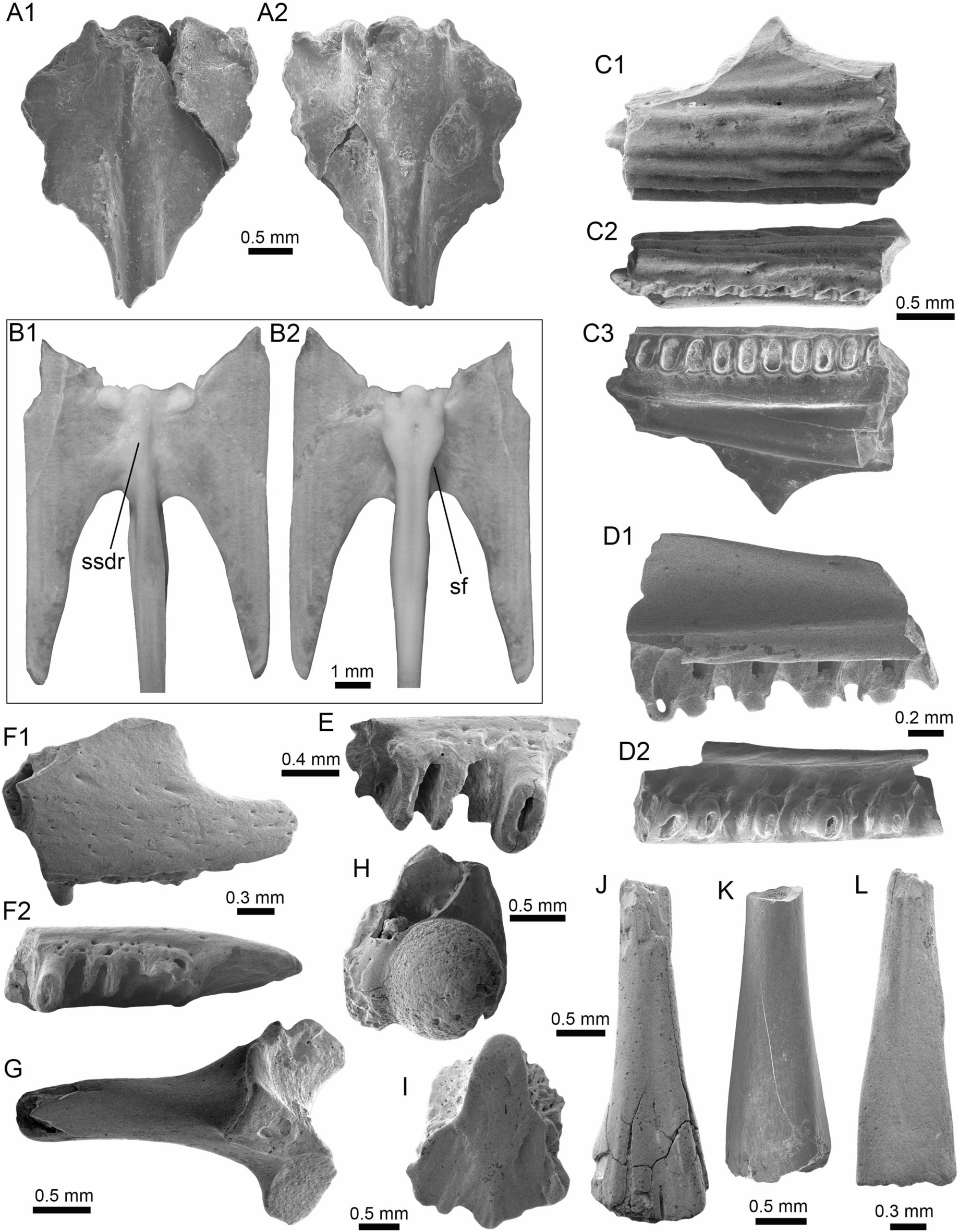 Fig. 14