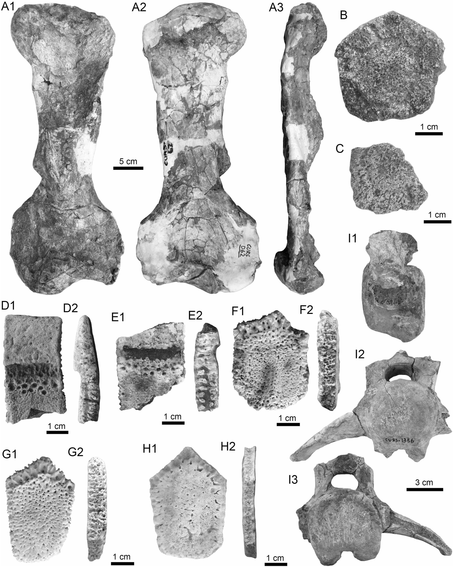 Fig. 23