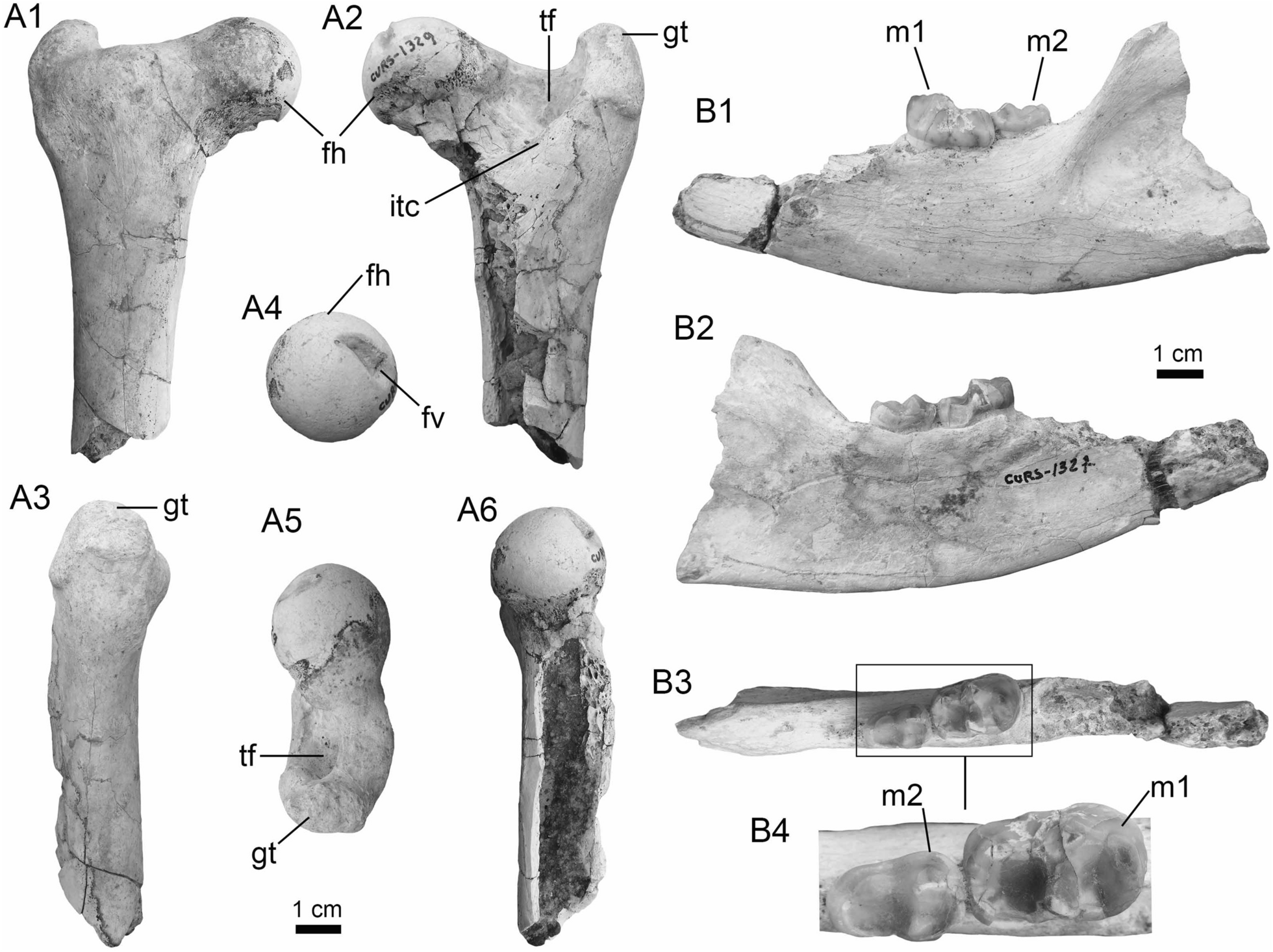 Fig. 28