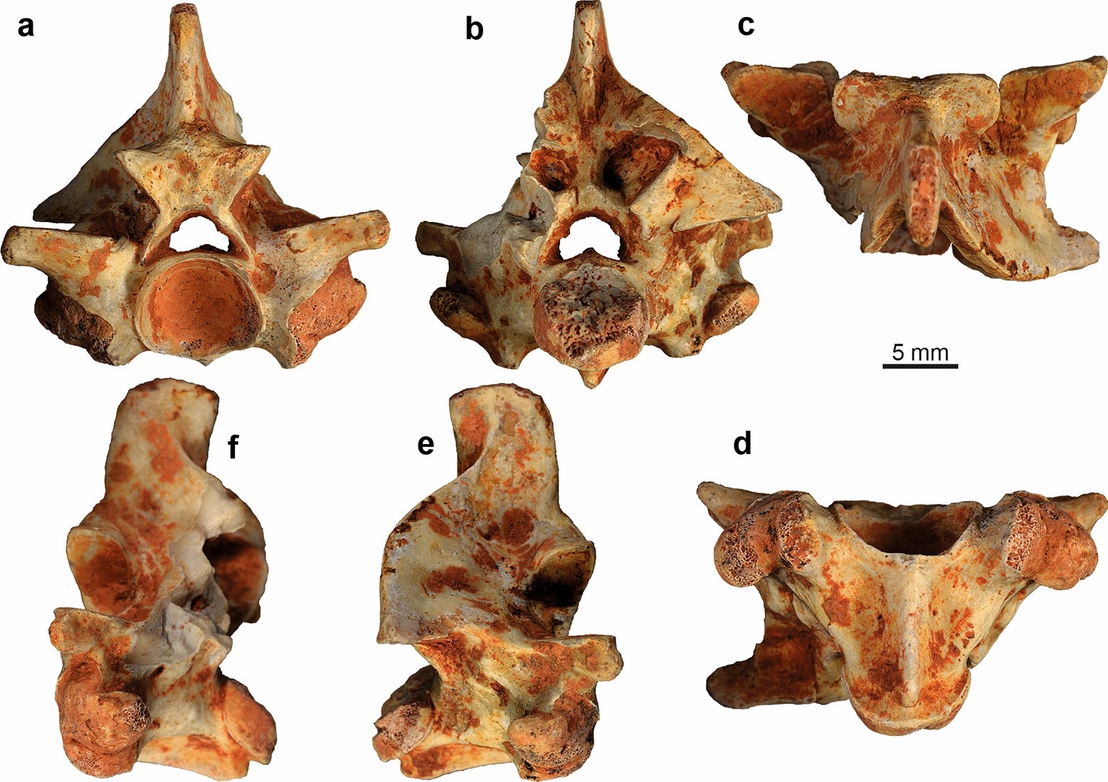 Fig. 17