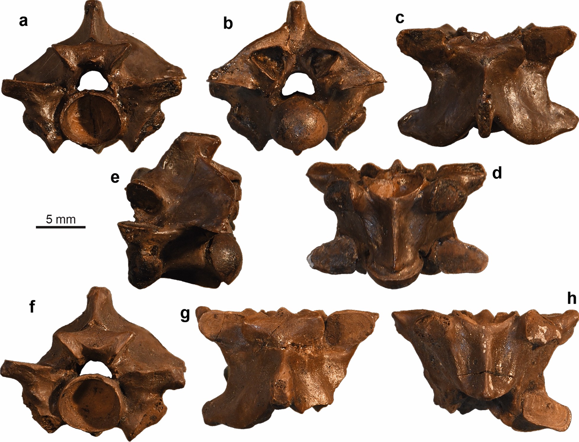 Fig. 57