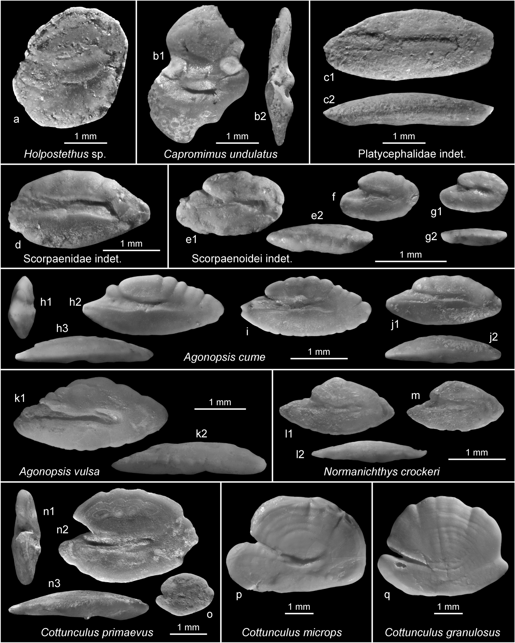 Fig. 15