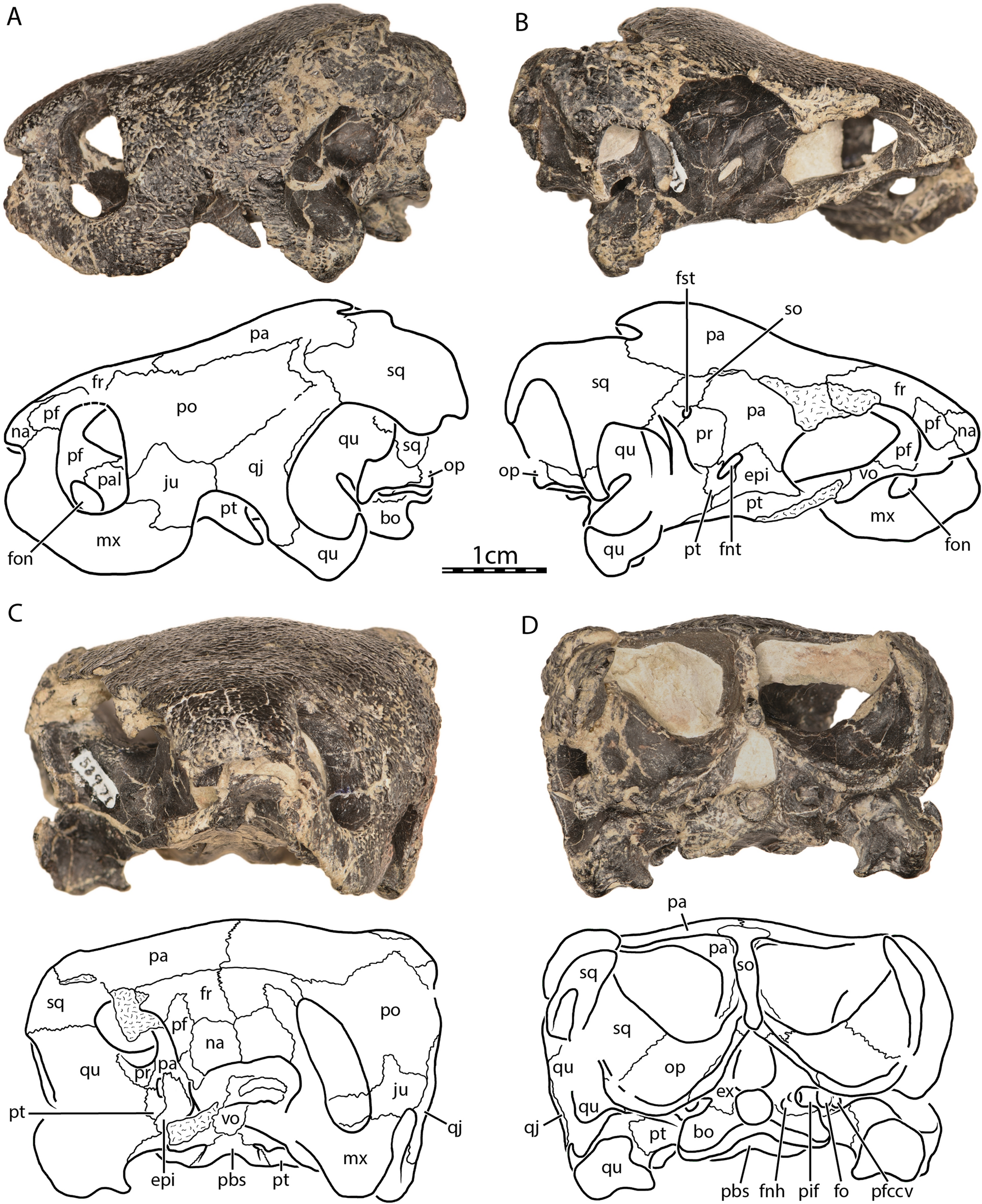 Fig. 2