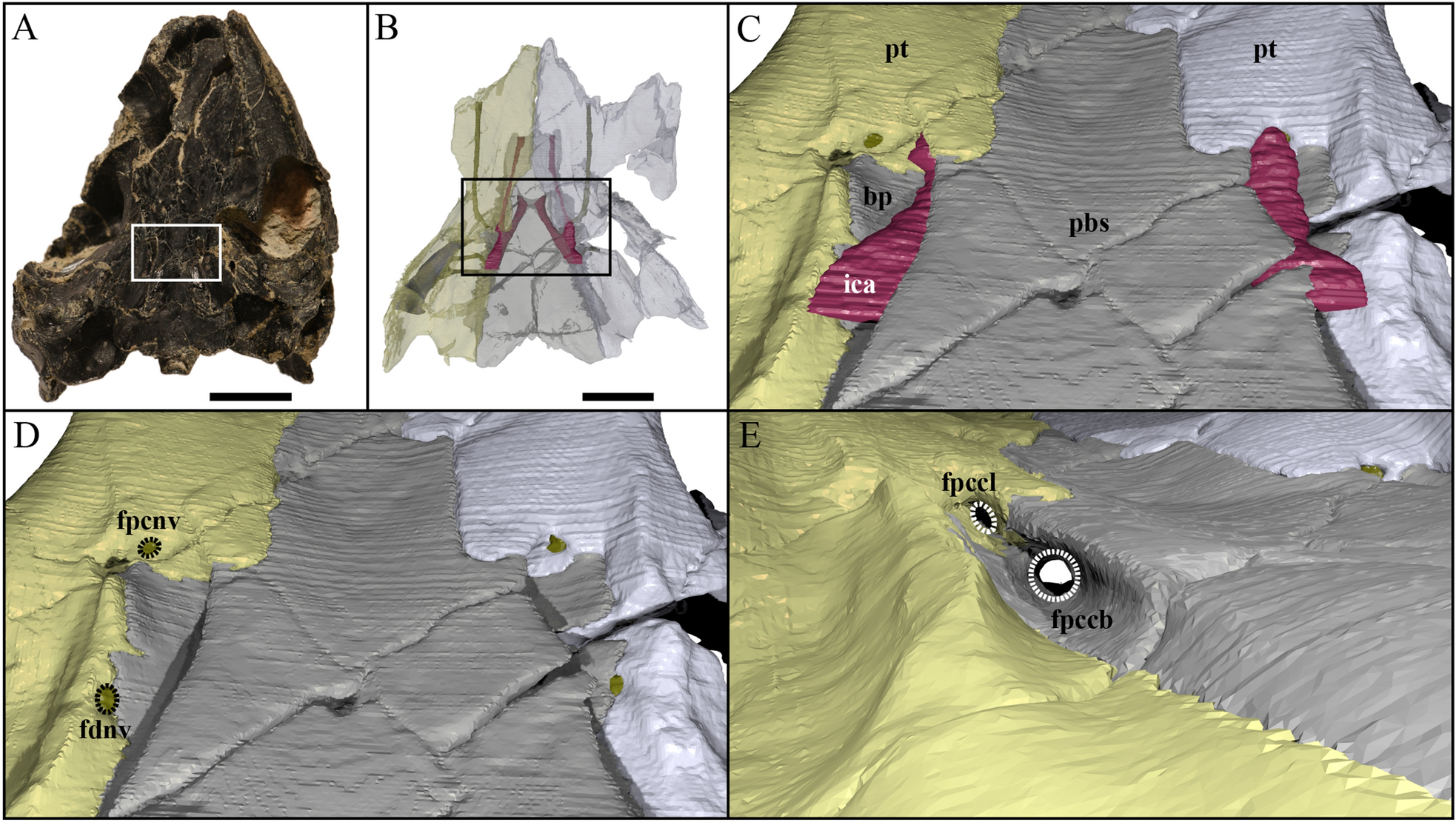 Fig. 6