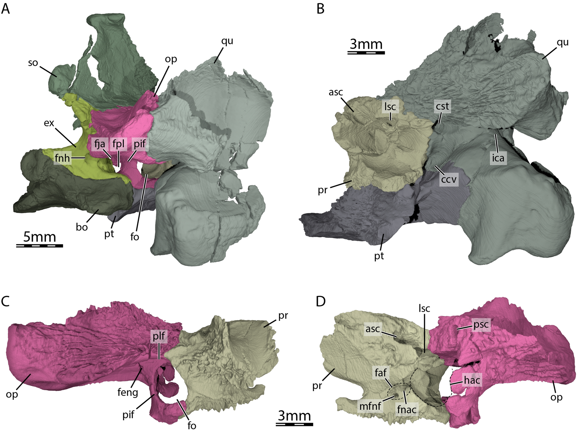 Fig. 8