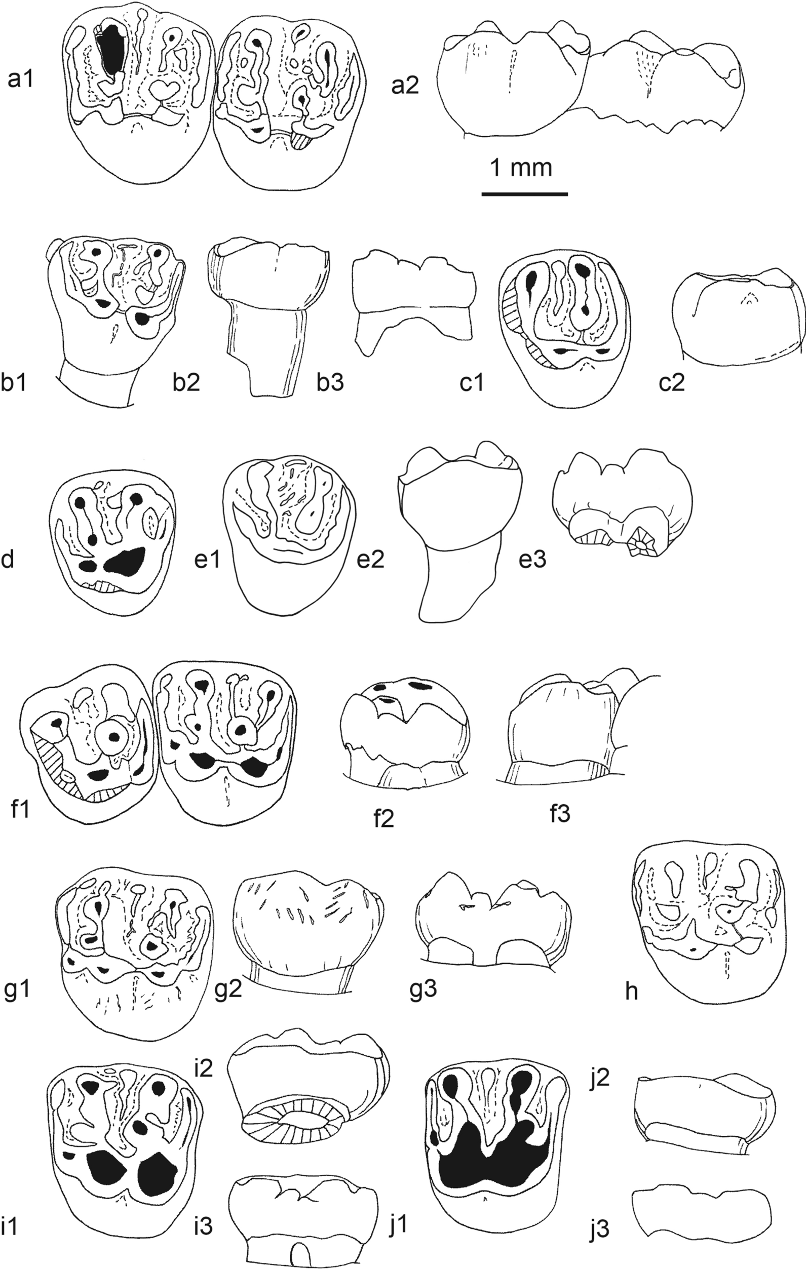 Fig. 15