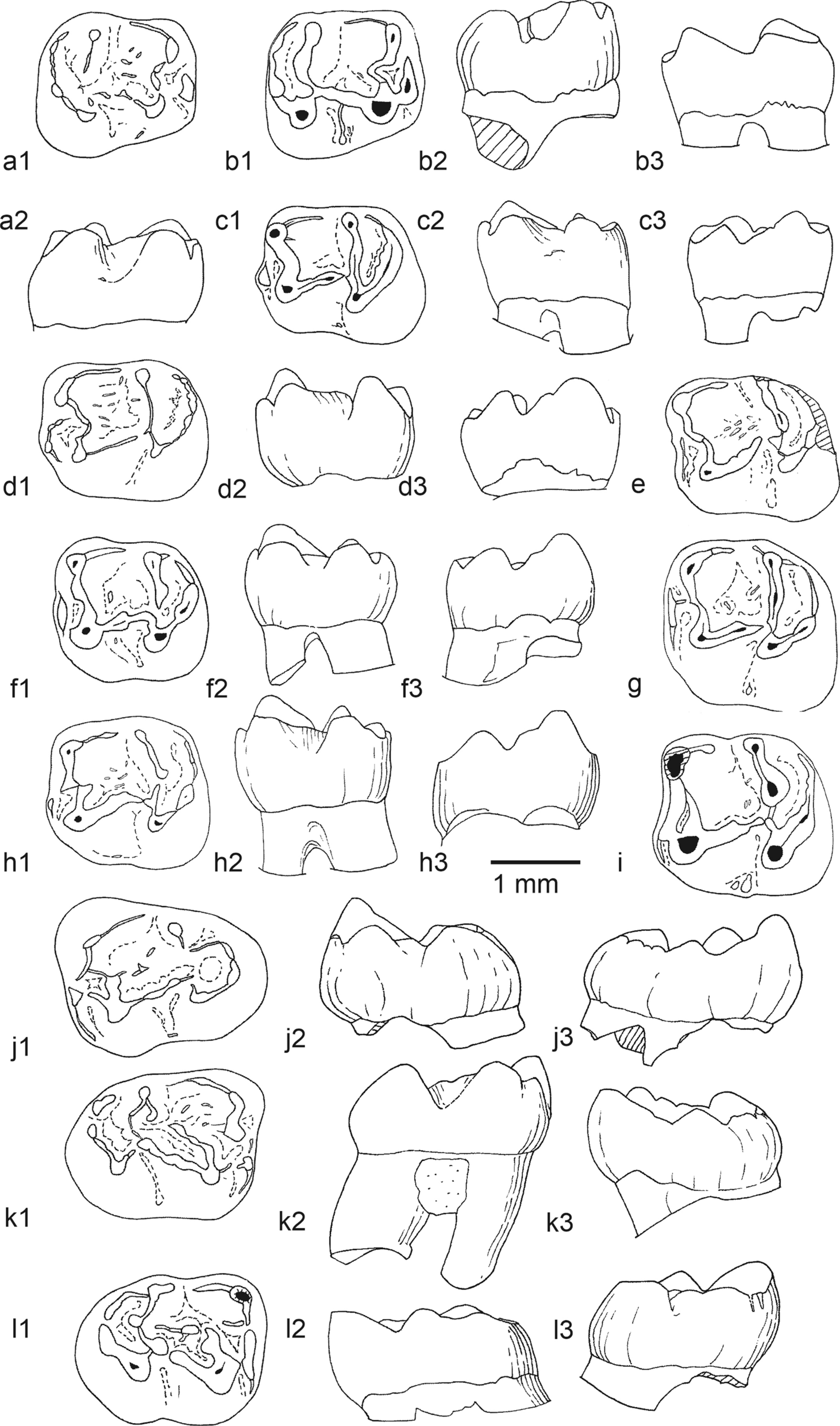 Fig. 19