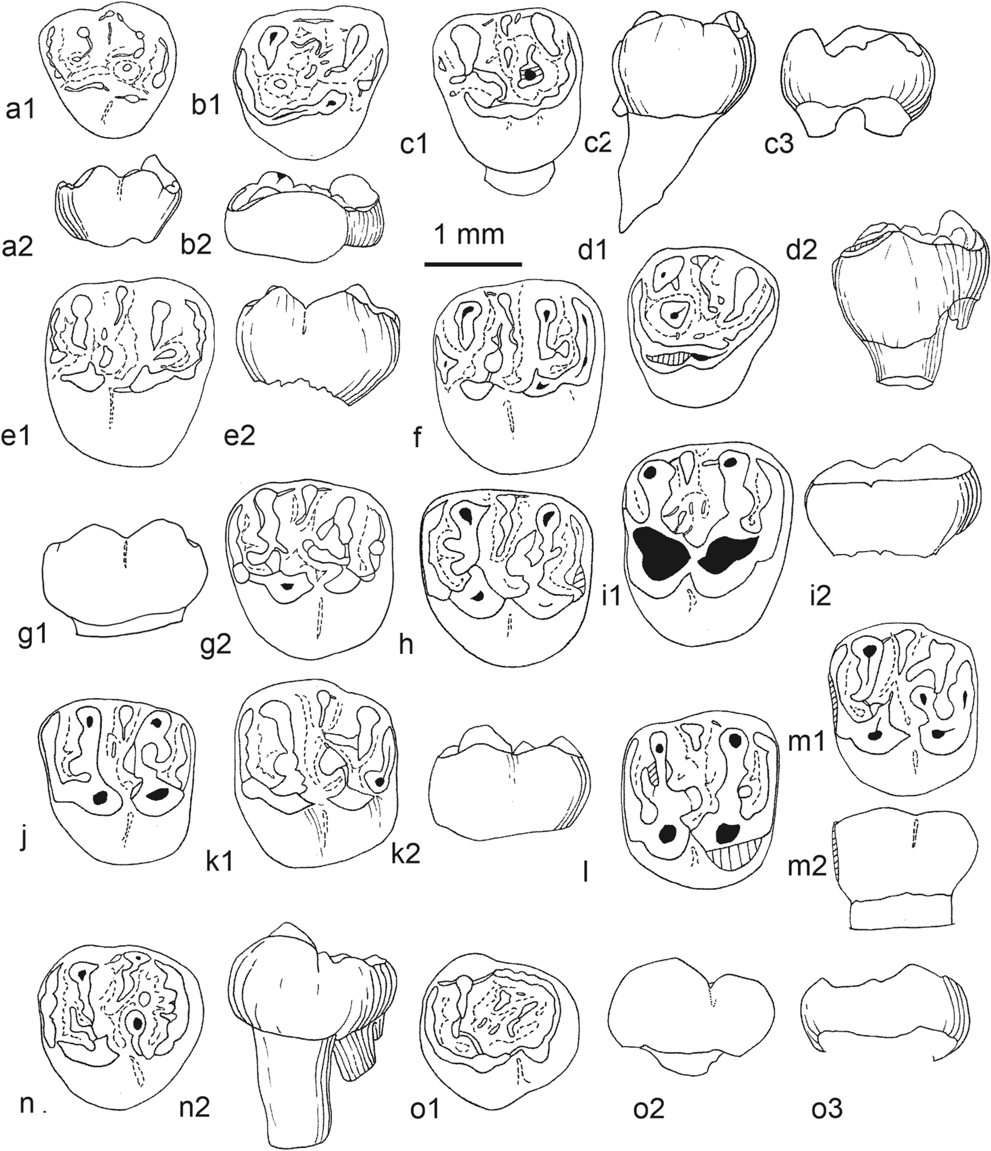 Fig. 23