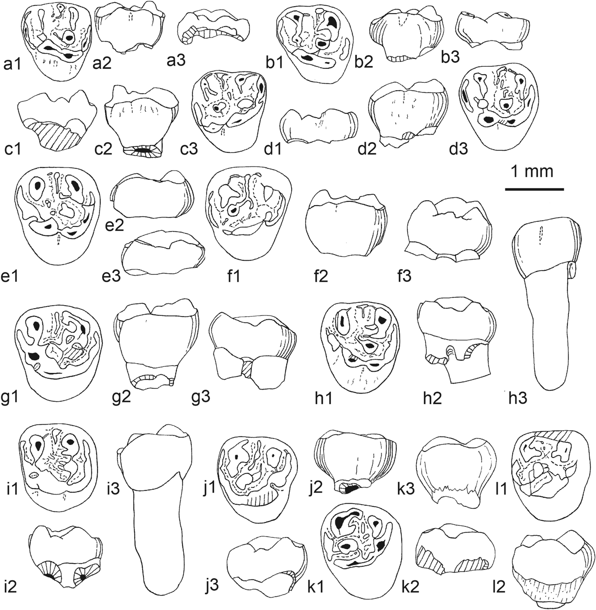 Fig. 29