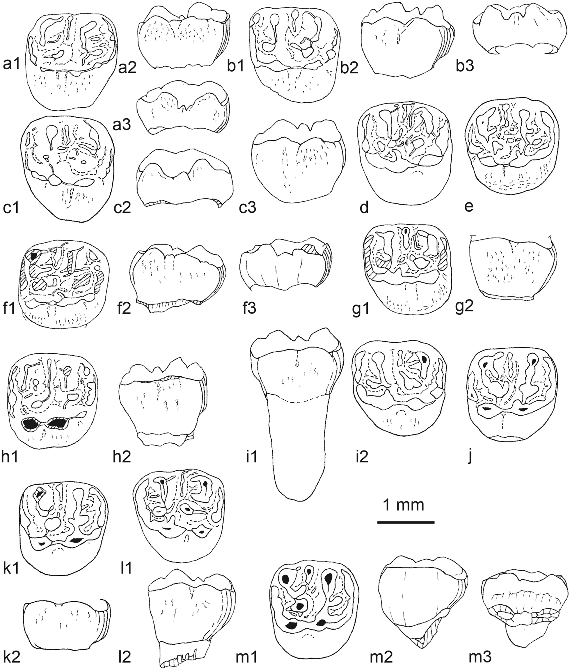 Fig. 30