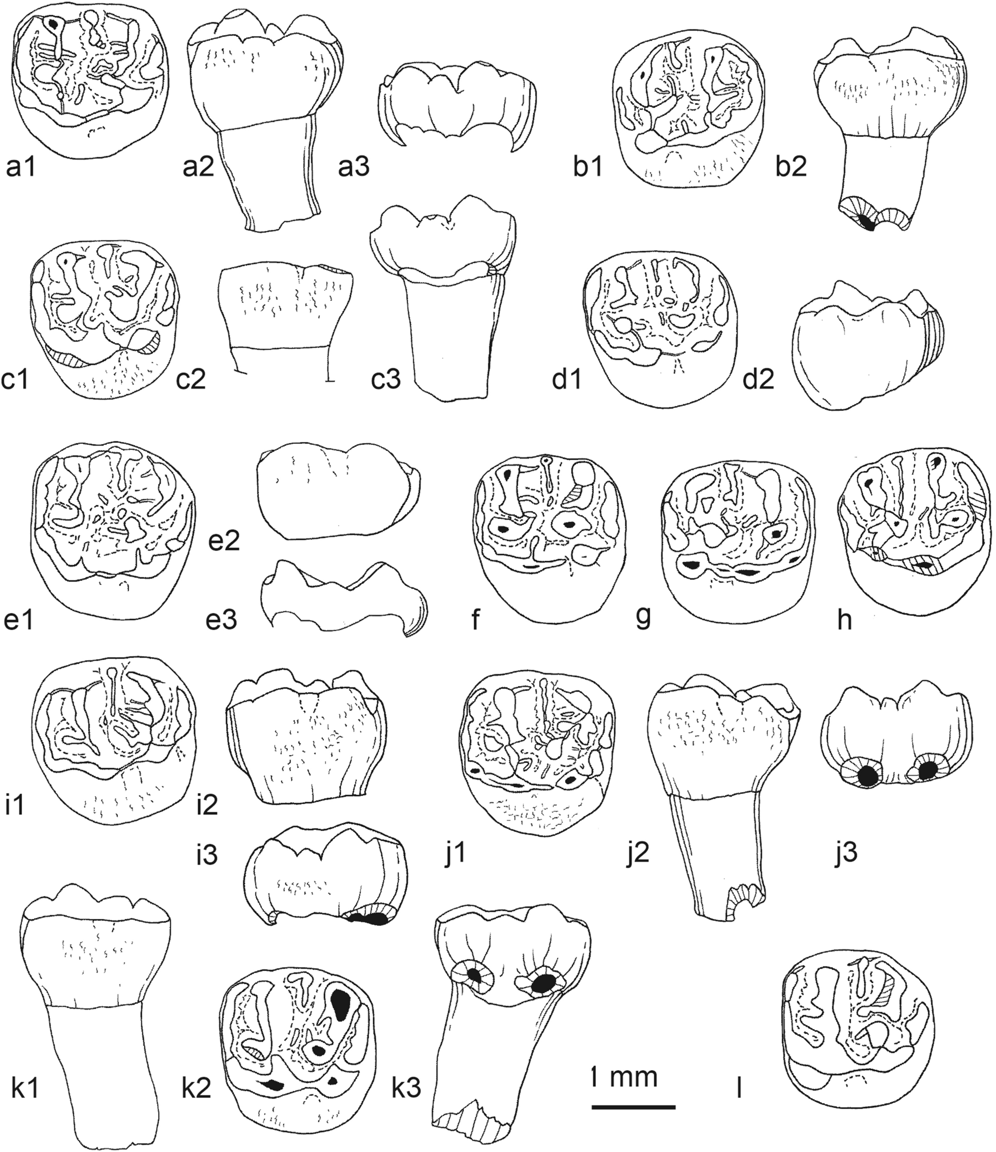 Fig. 31