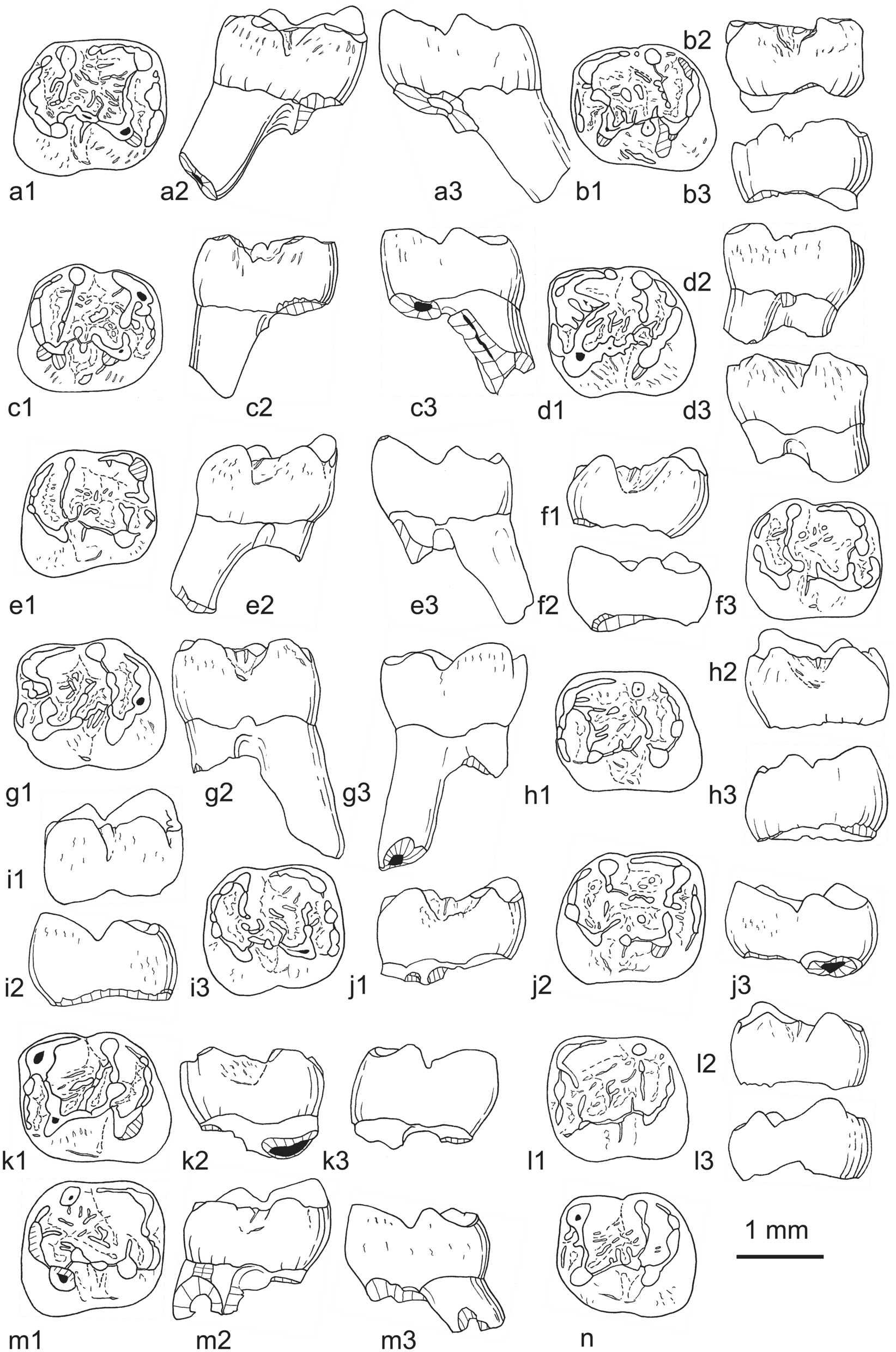 Fig. 35