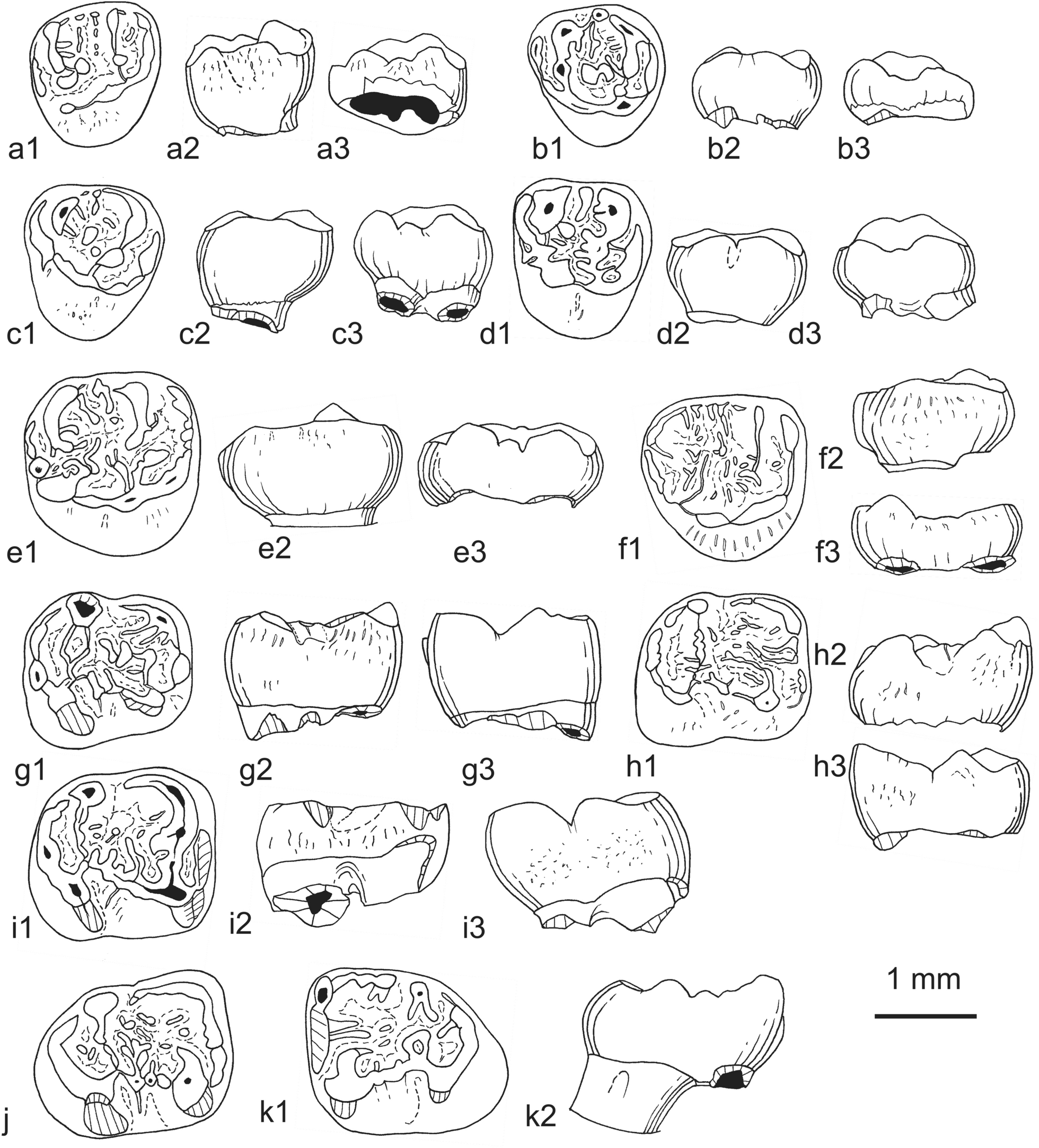 Fig. 40