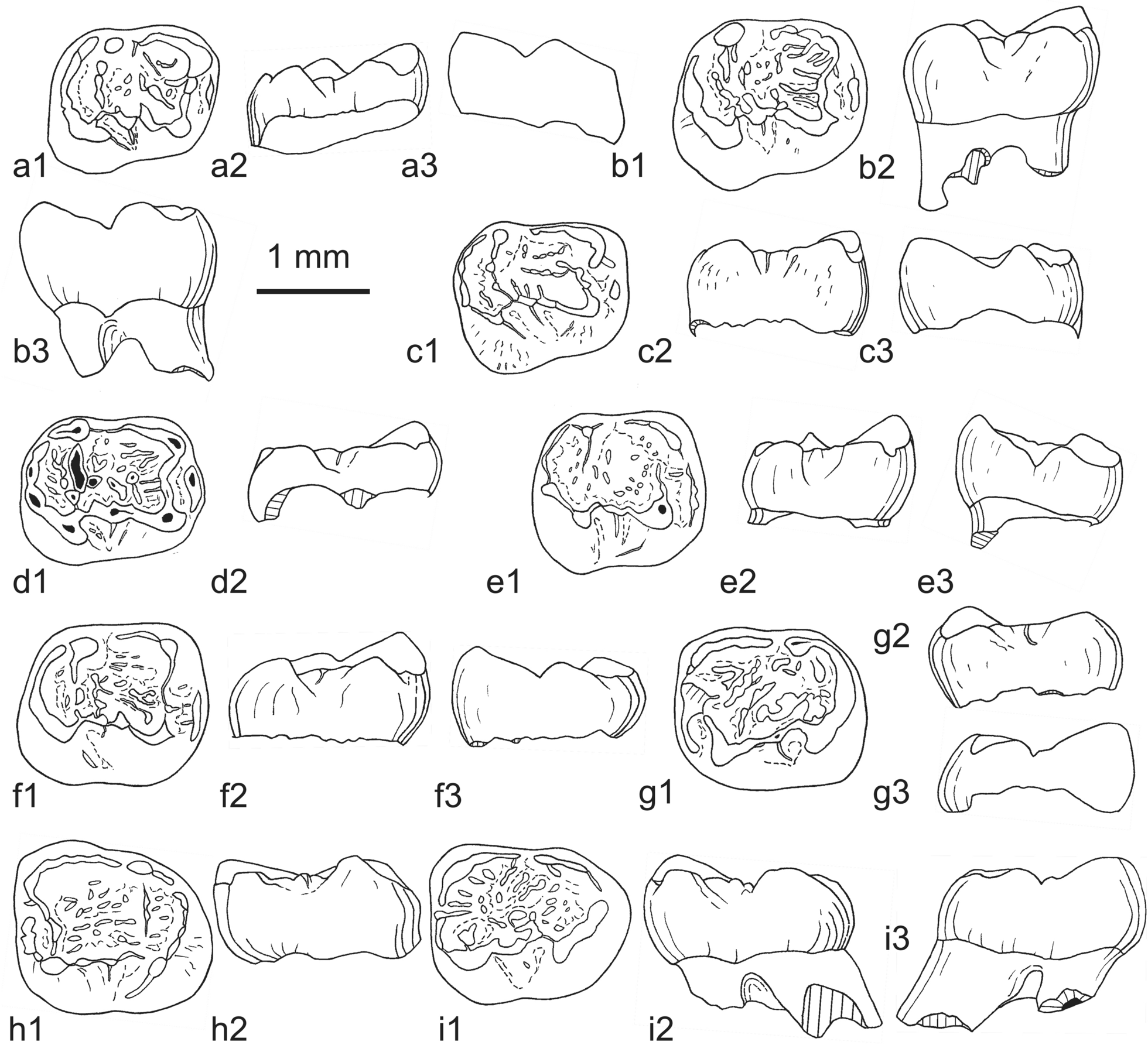 Fig. 48