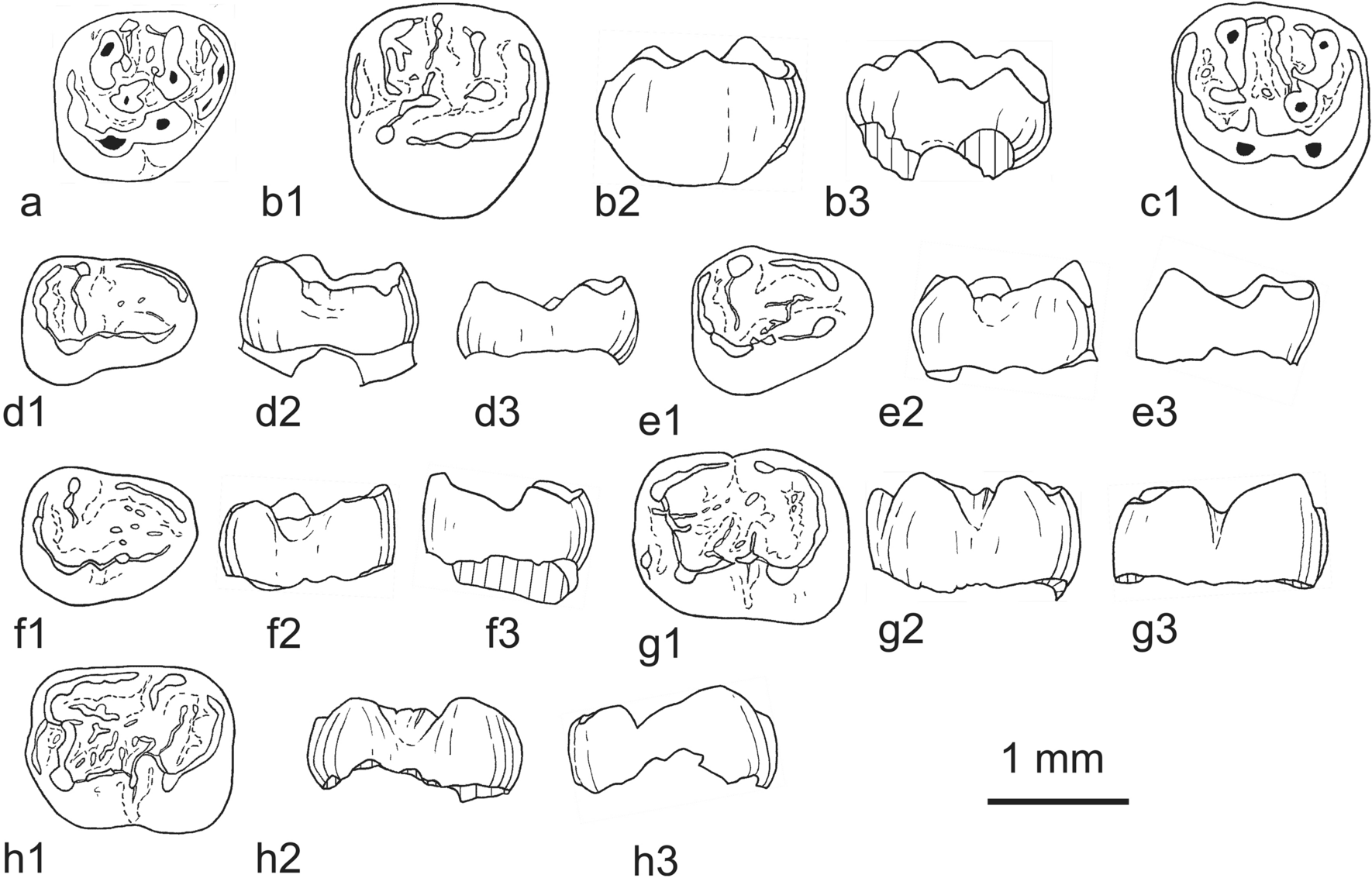 Fig. 50