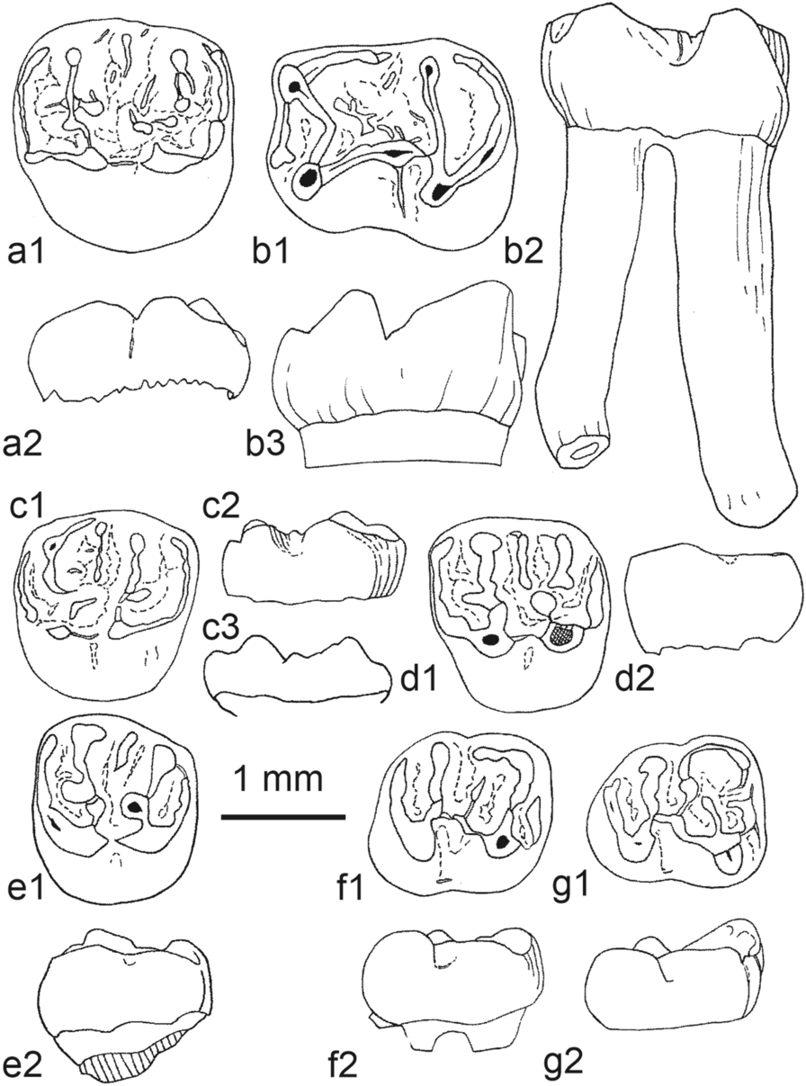 Fig. 53