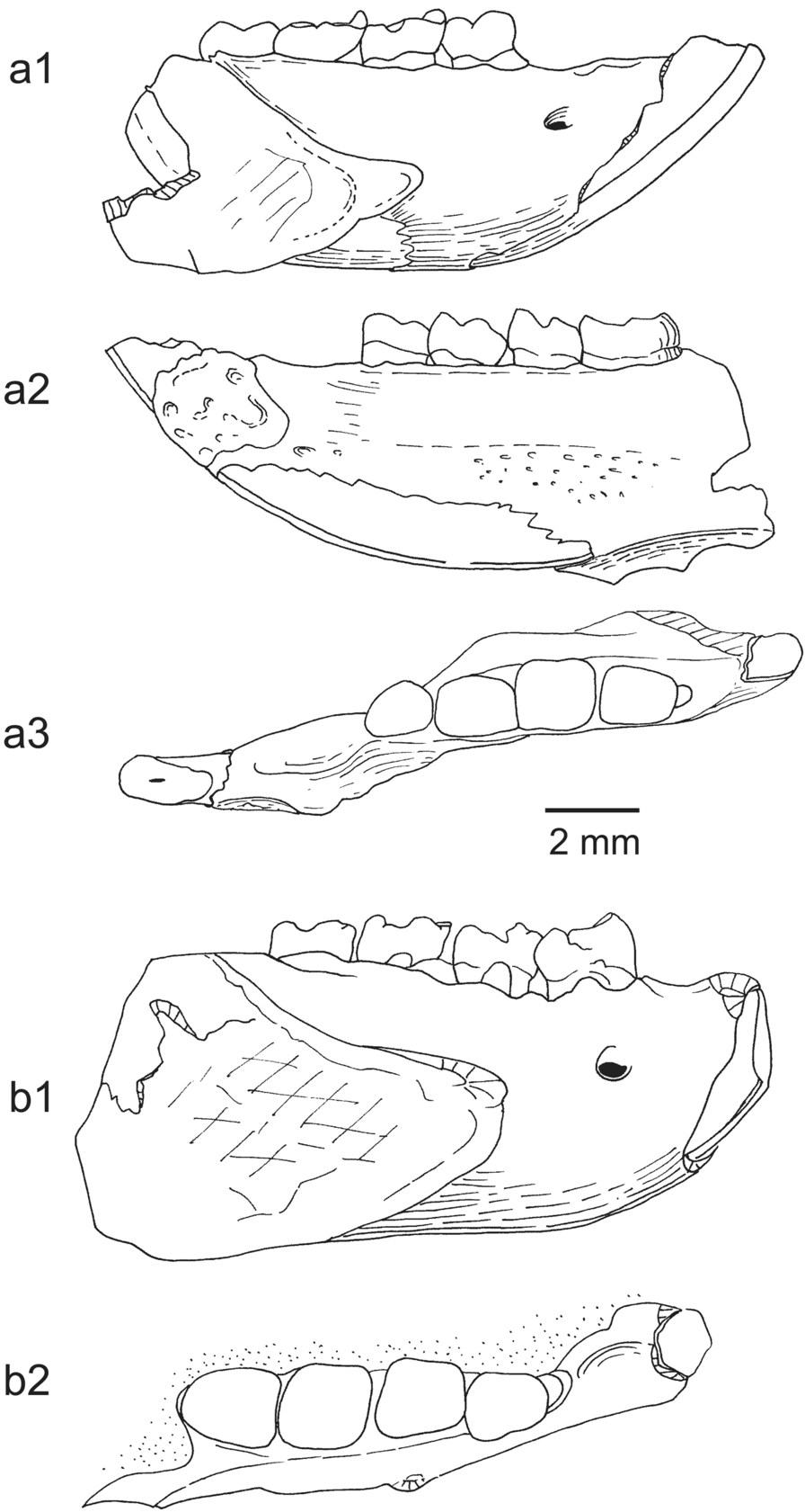 Fig. 8