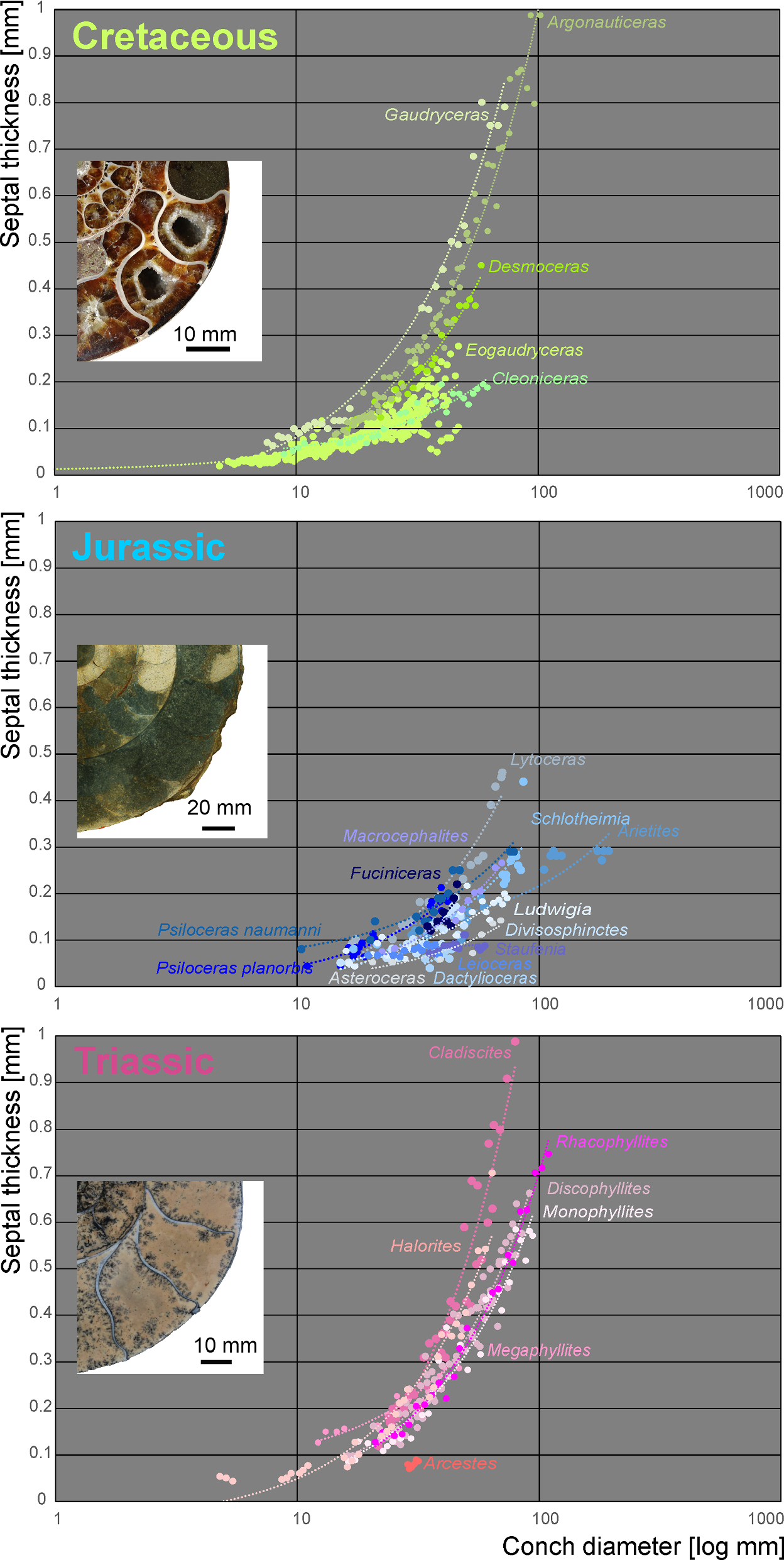 Fig. 13