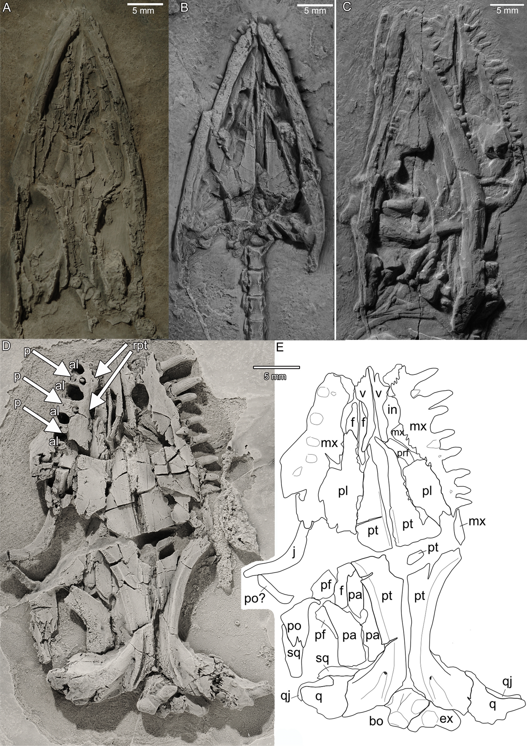 Fig. 3