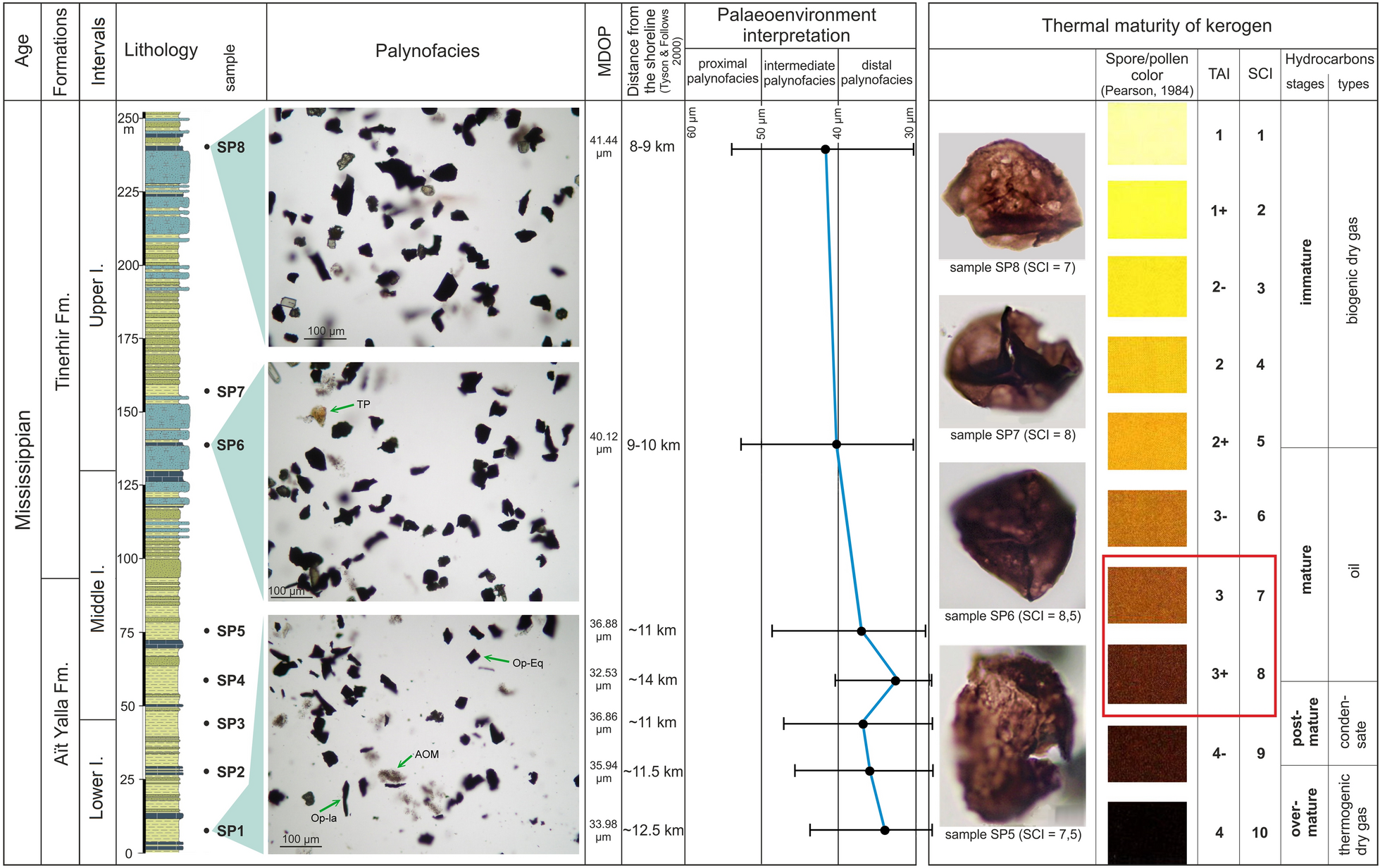 Fig. 6