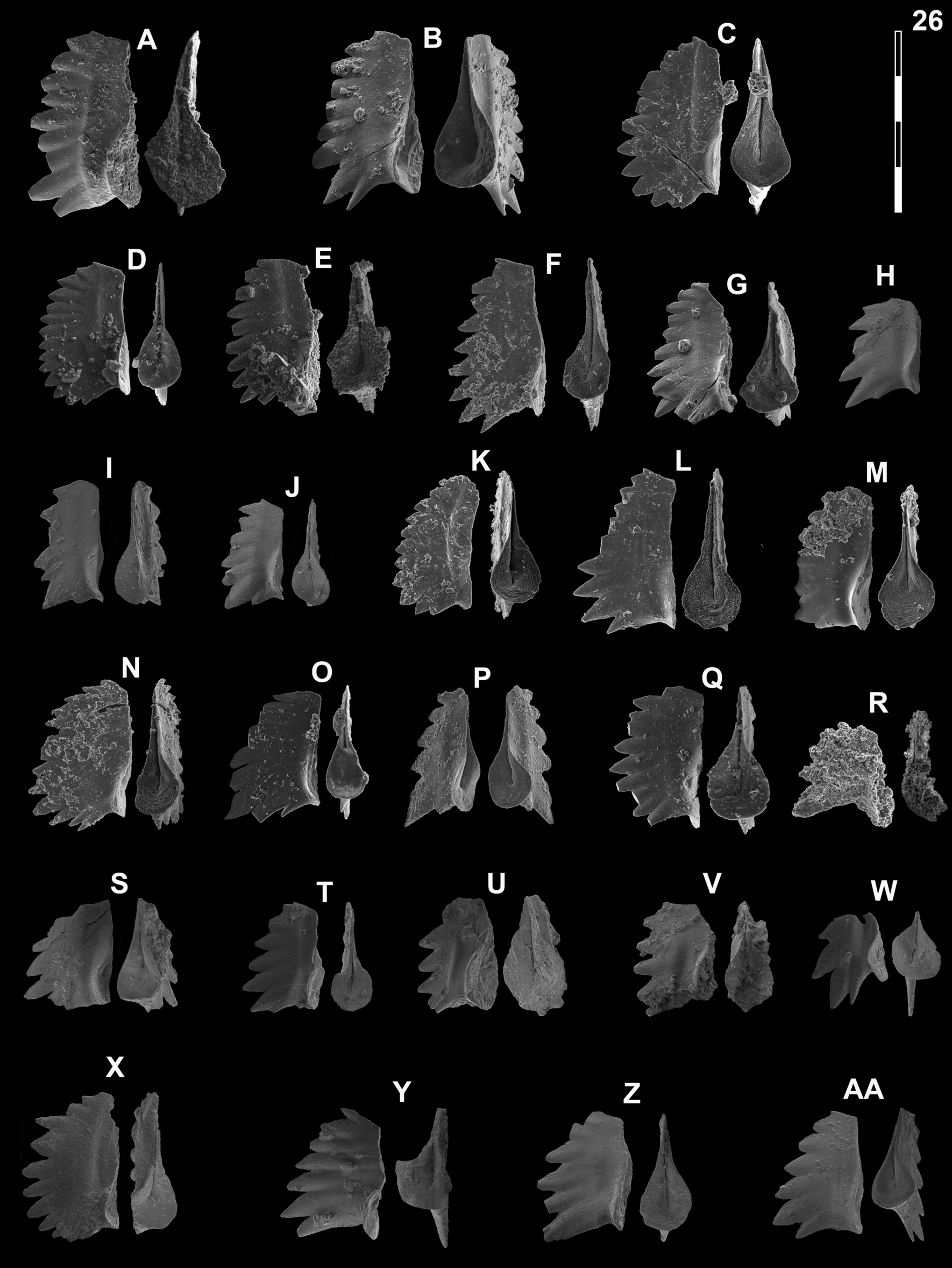 Fig. 20