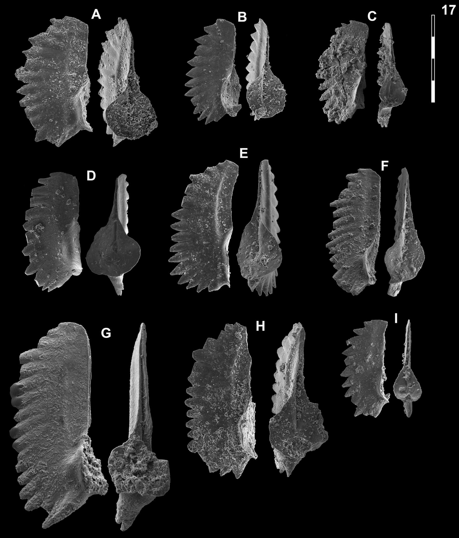 Fig. 23