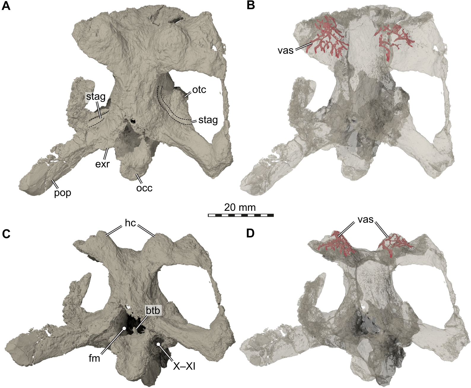 Fig. 5