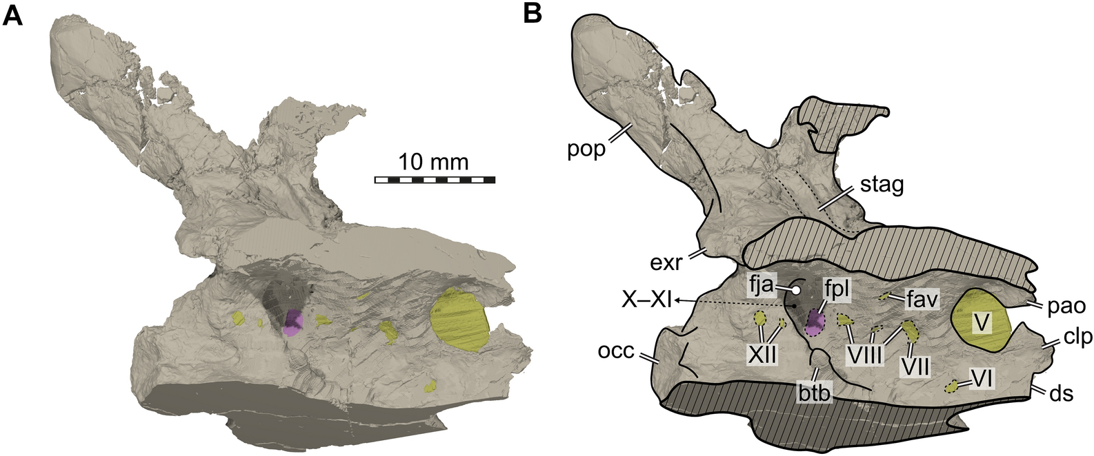 Fig. 6