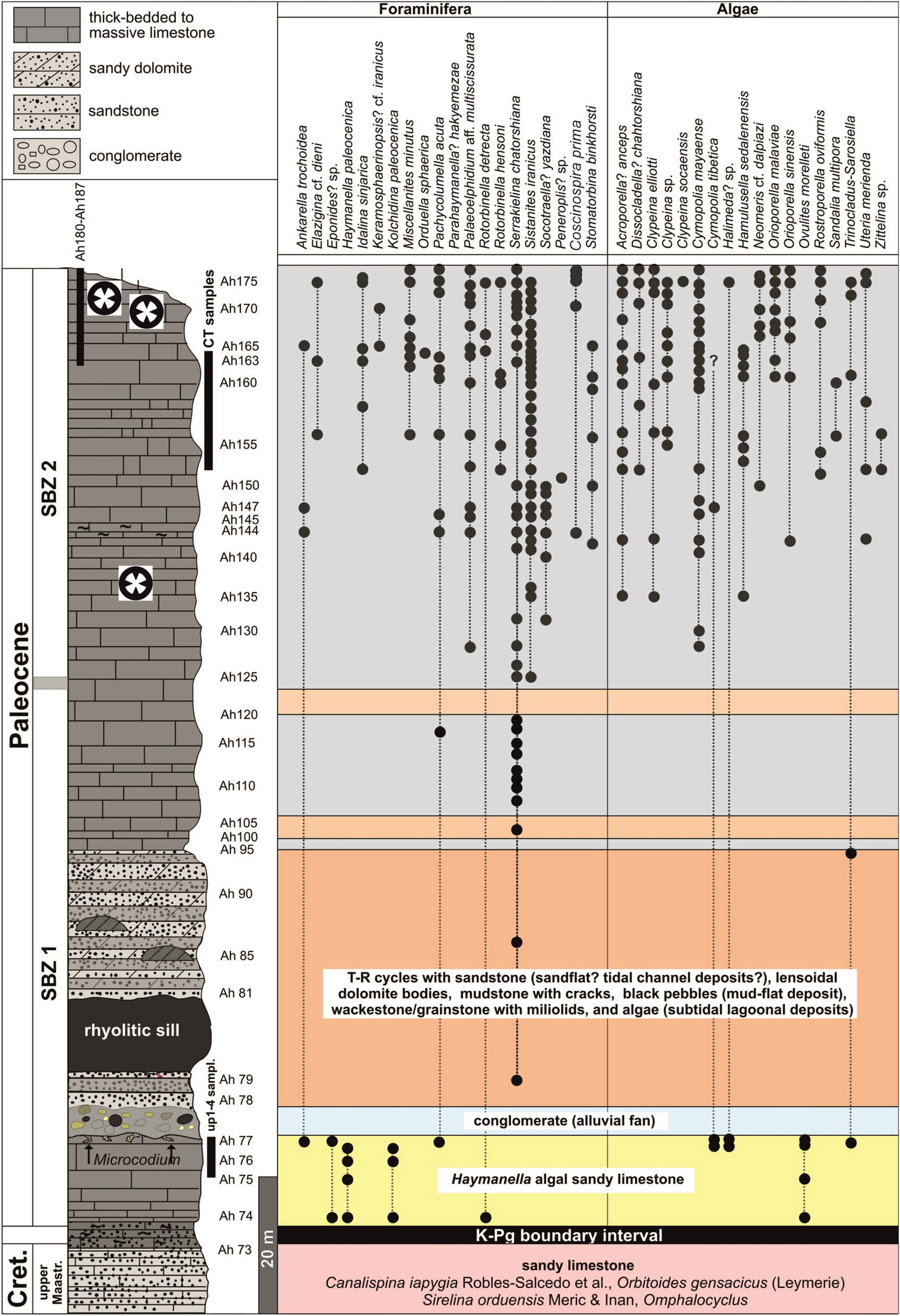 Fig. 6